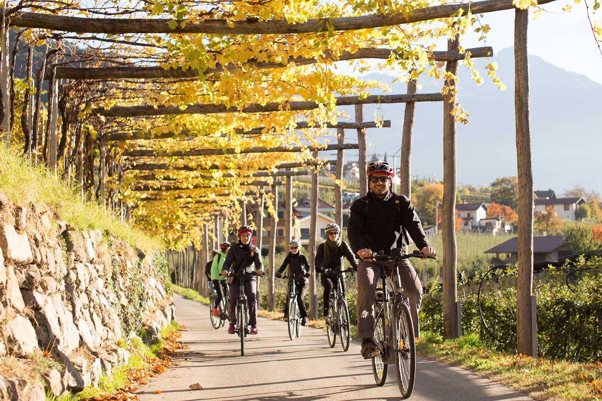 Merano E-Bike Wine & Gastronomy Tour