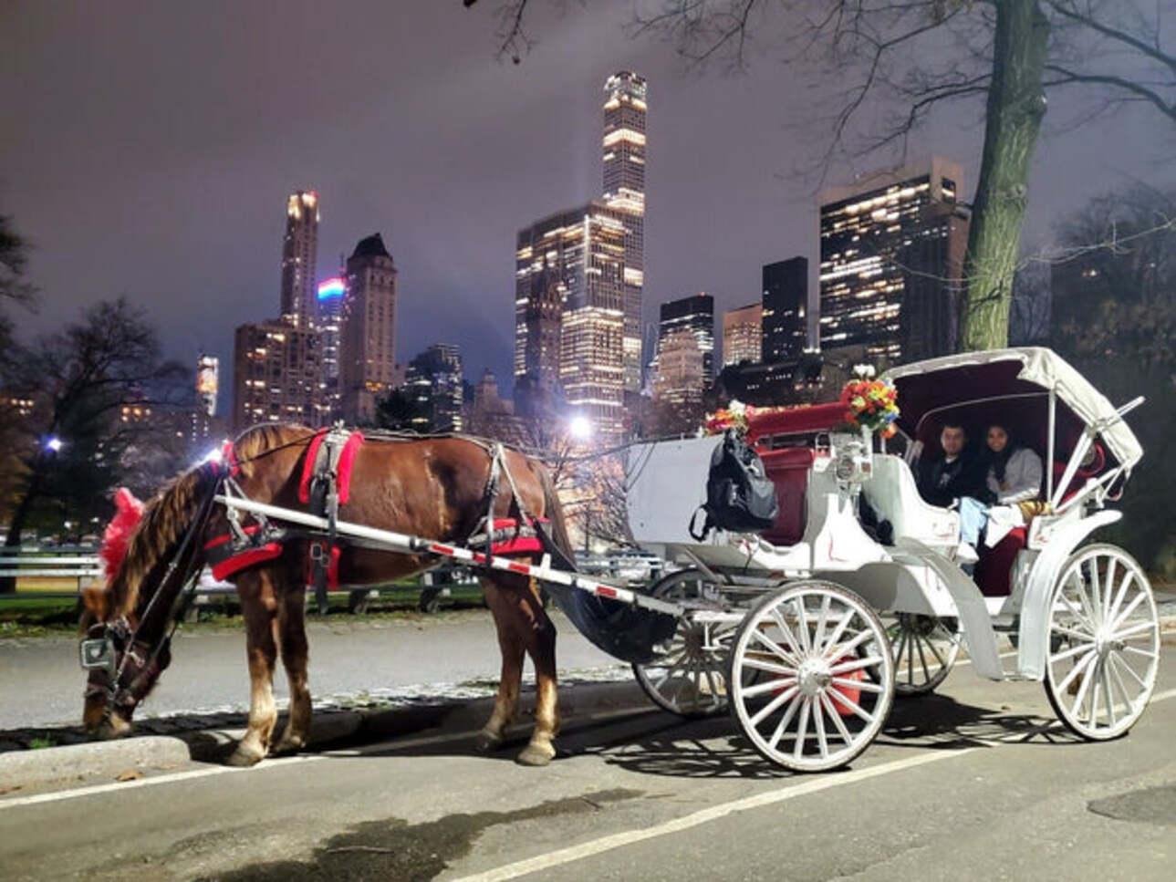 Private Central Park Horse Carriage Tour with Guide
