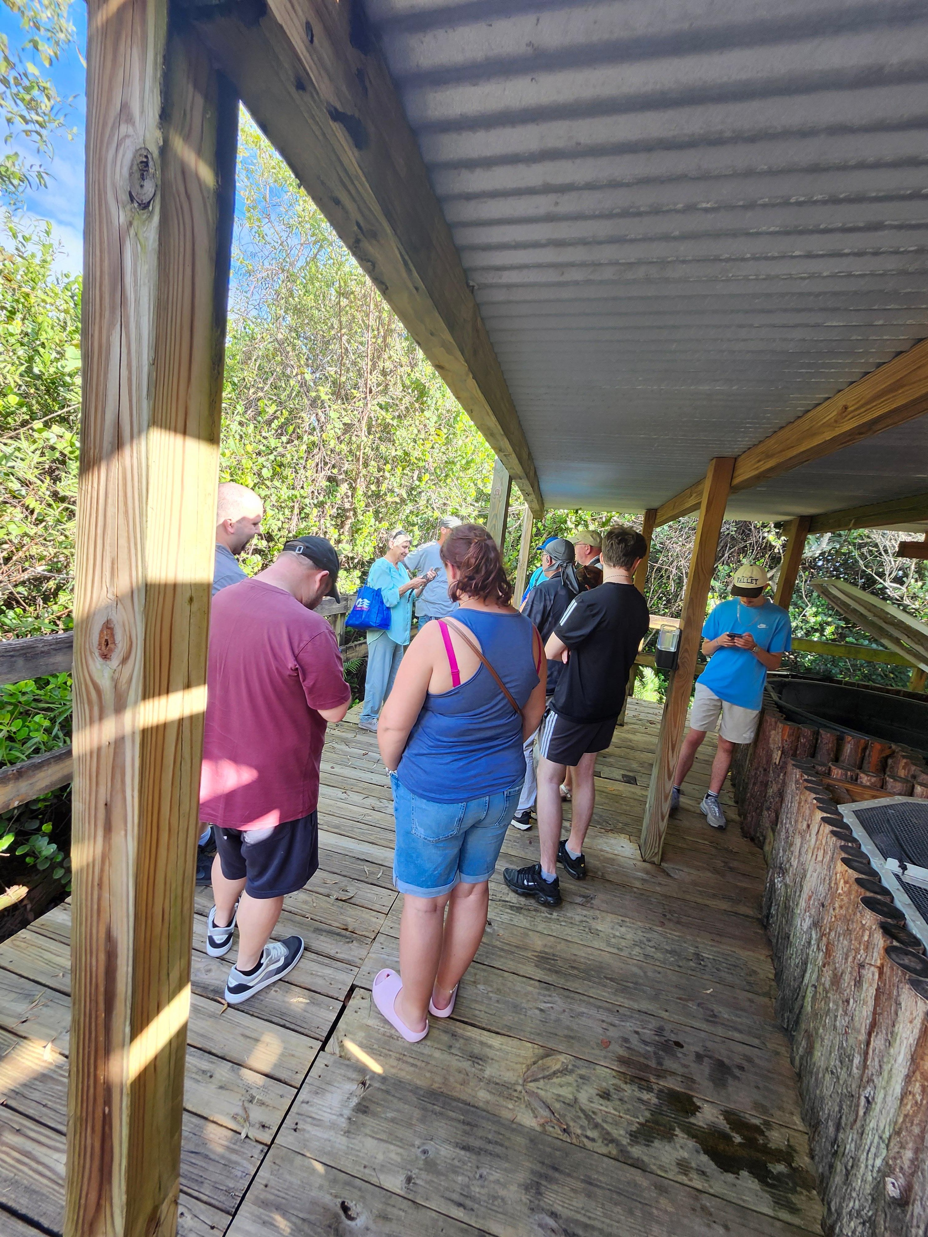 Small-Group Everglades Eco-Adventure & Private Islands Tour