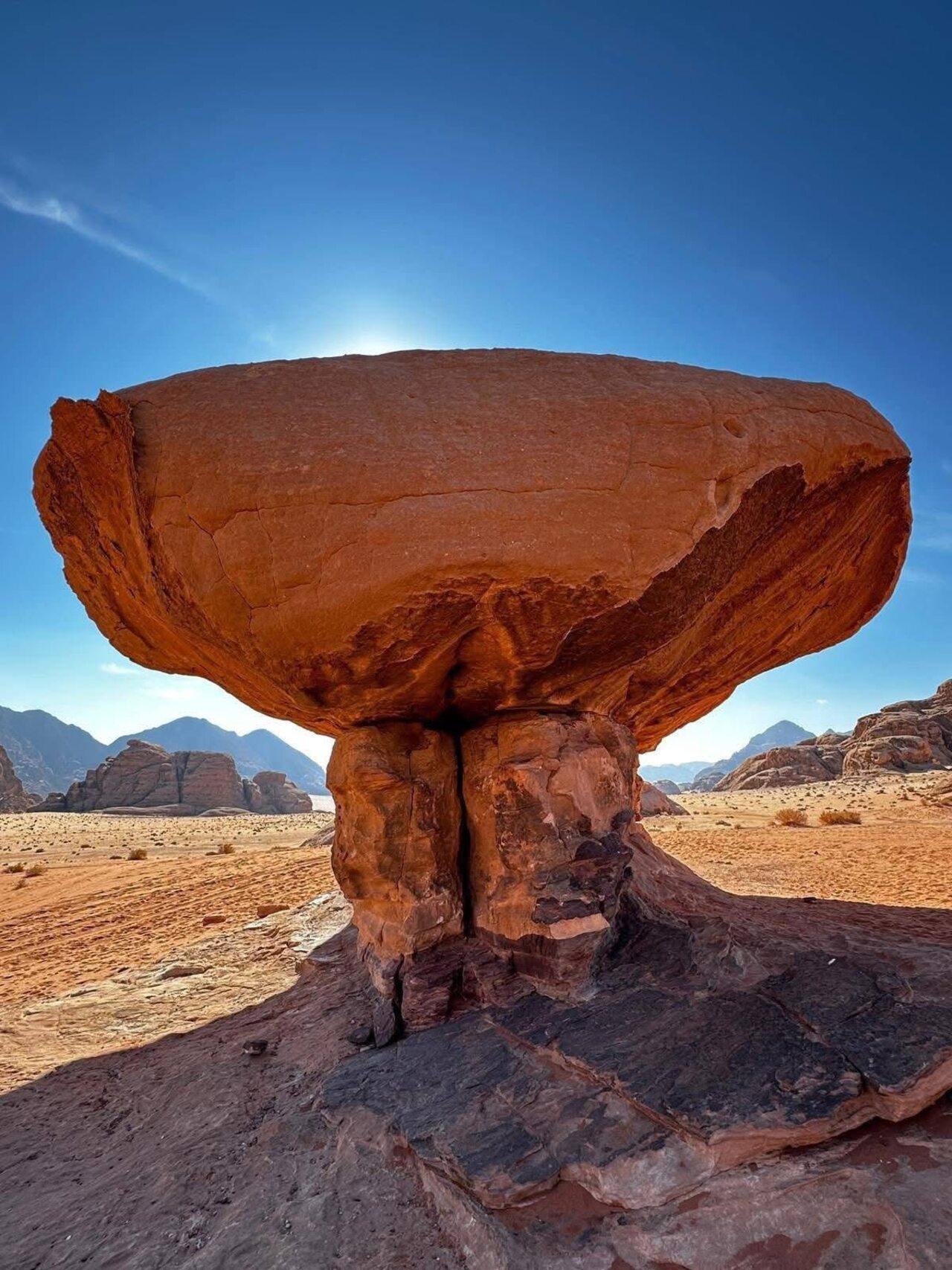 Petra & Wadi Rum: One-Day Private or Group Journey