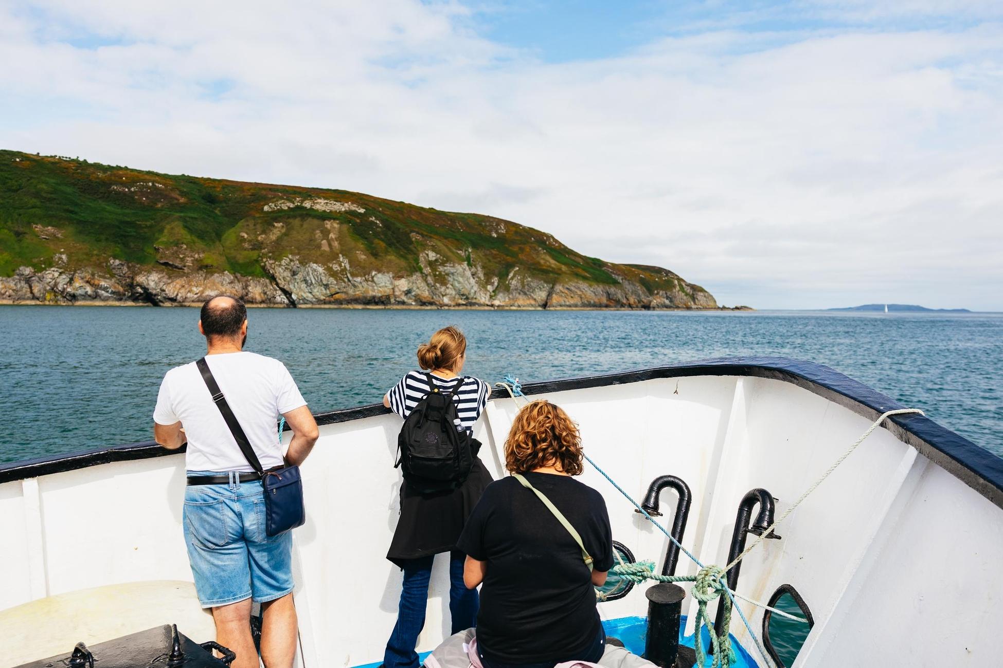 Howth Coastal Cliffs and Lighthouse Boat Tour