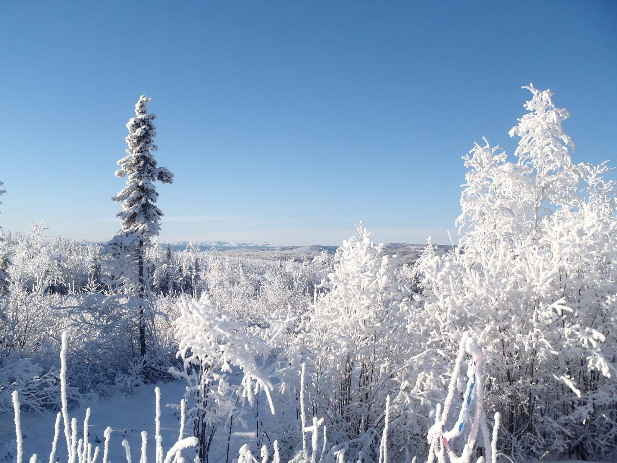 Fairbanks: Northern Lights & Arctic Circle Tour