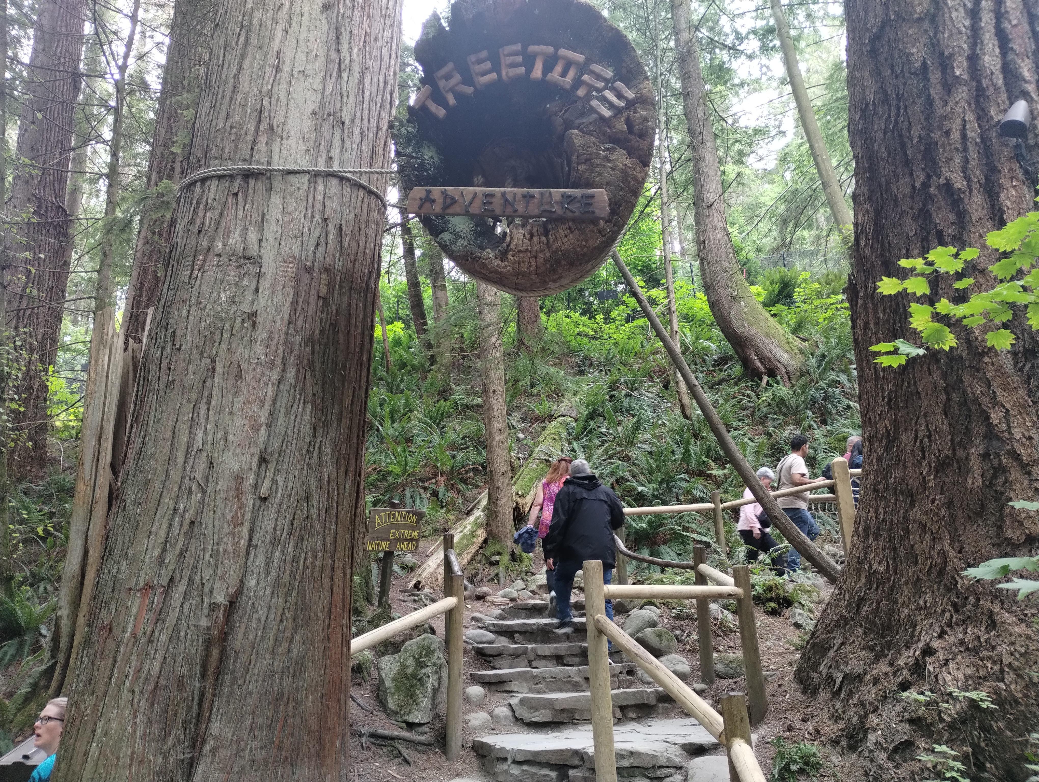 Capilano Suspension Bridge & Stanley Park Small Group Tour