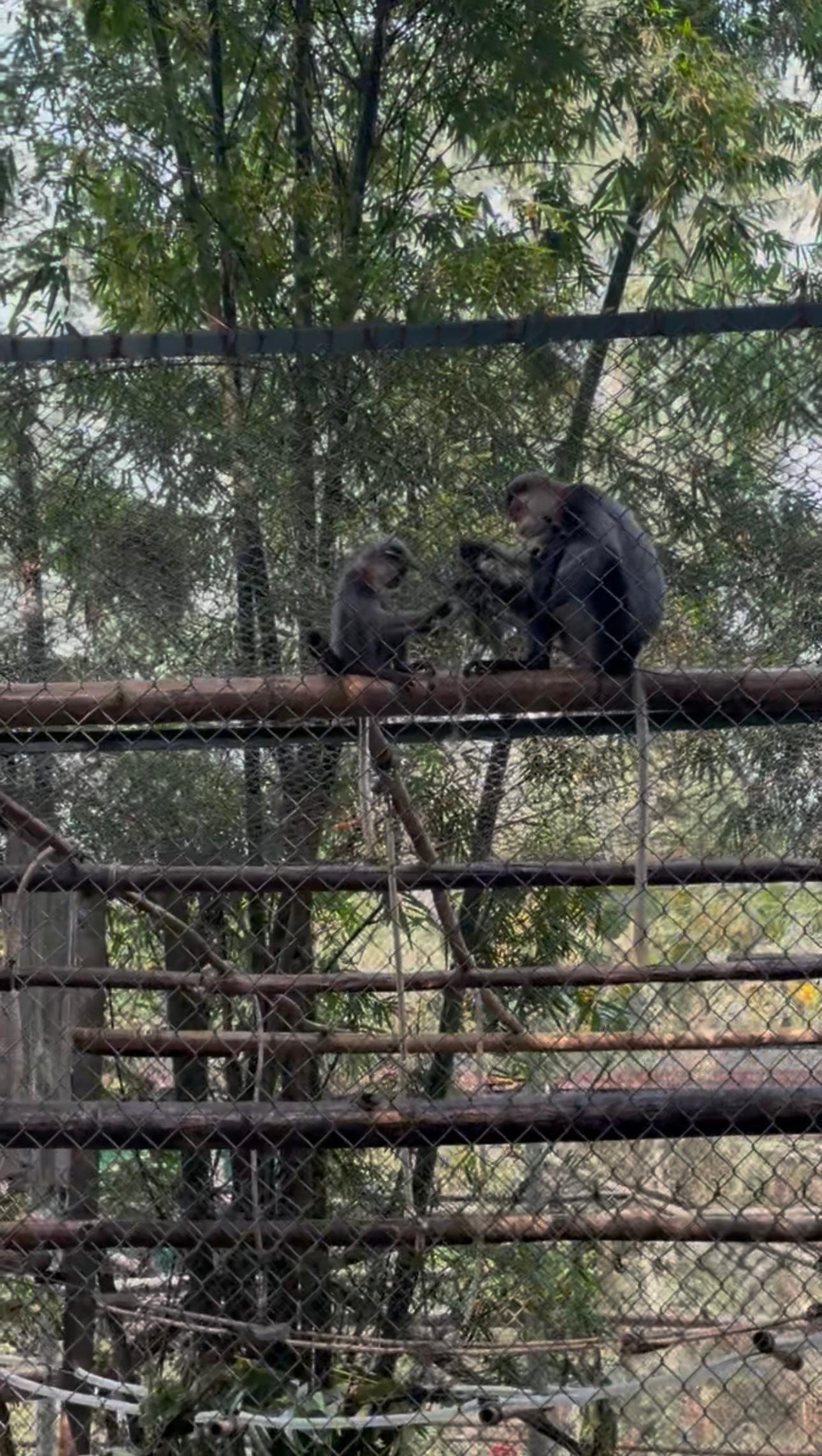 Cuc Phuong National Park Day Trek & Bear Sanctuary from Ninh Binh