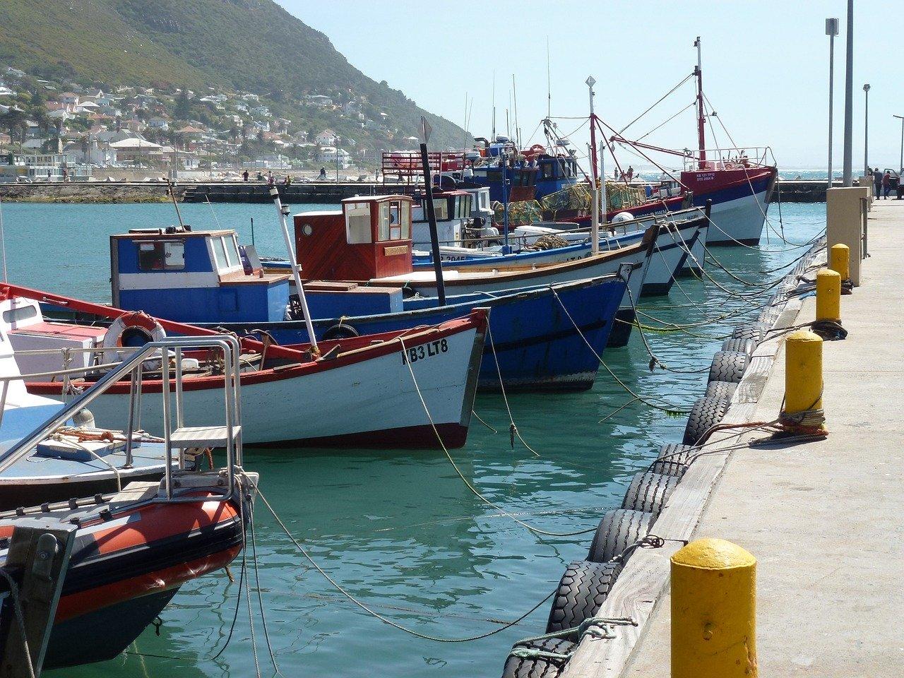 Cape Town Full-Day Tour: Table Mountain, Cape Point & Penguin Colony