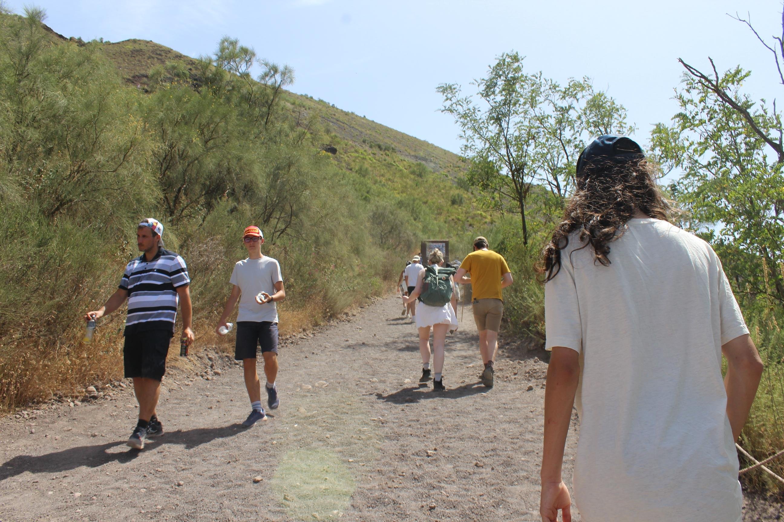 From Naples: Pompeii and Vesuvius Tour with Lunch Included - Mount Vesuvius crater tour and Bay of Naples views