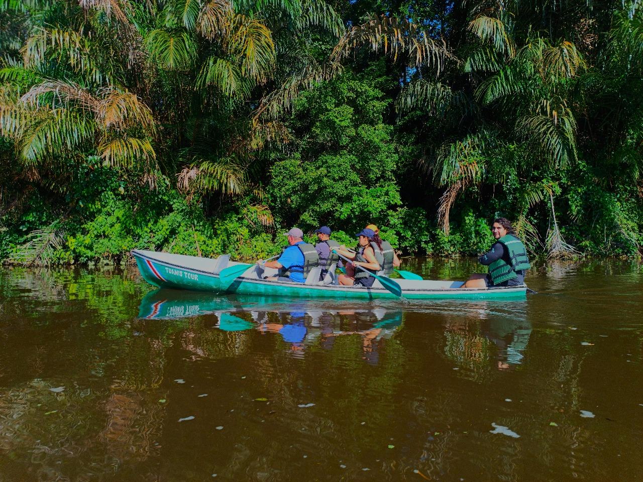 Tortuguero Triple Adventure: Canoe, Jungle Trail & Night Safari