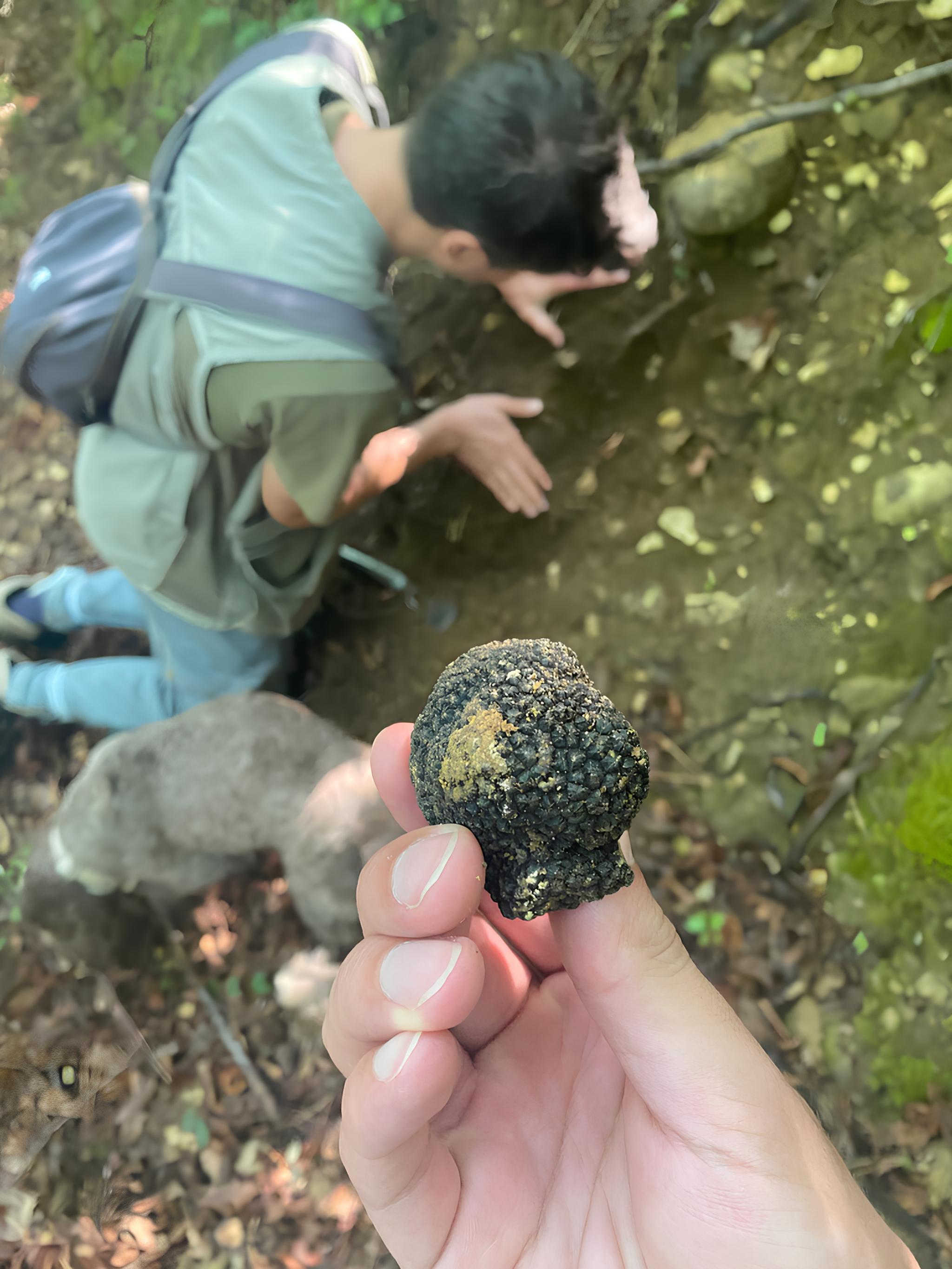 truffle hunting in Umbria — photo 29