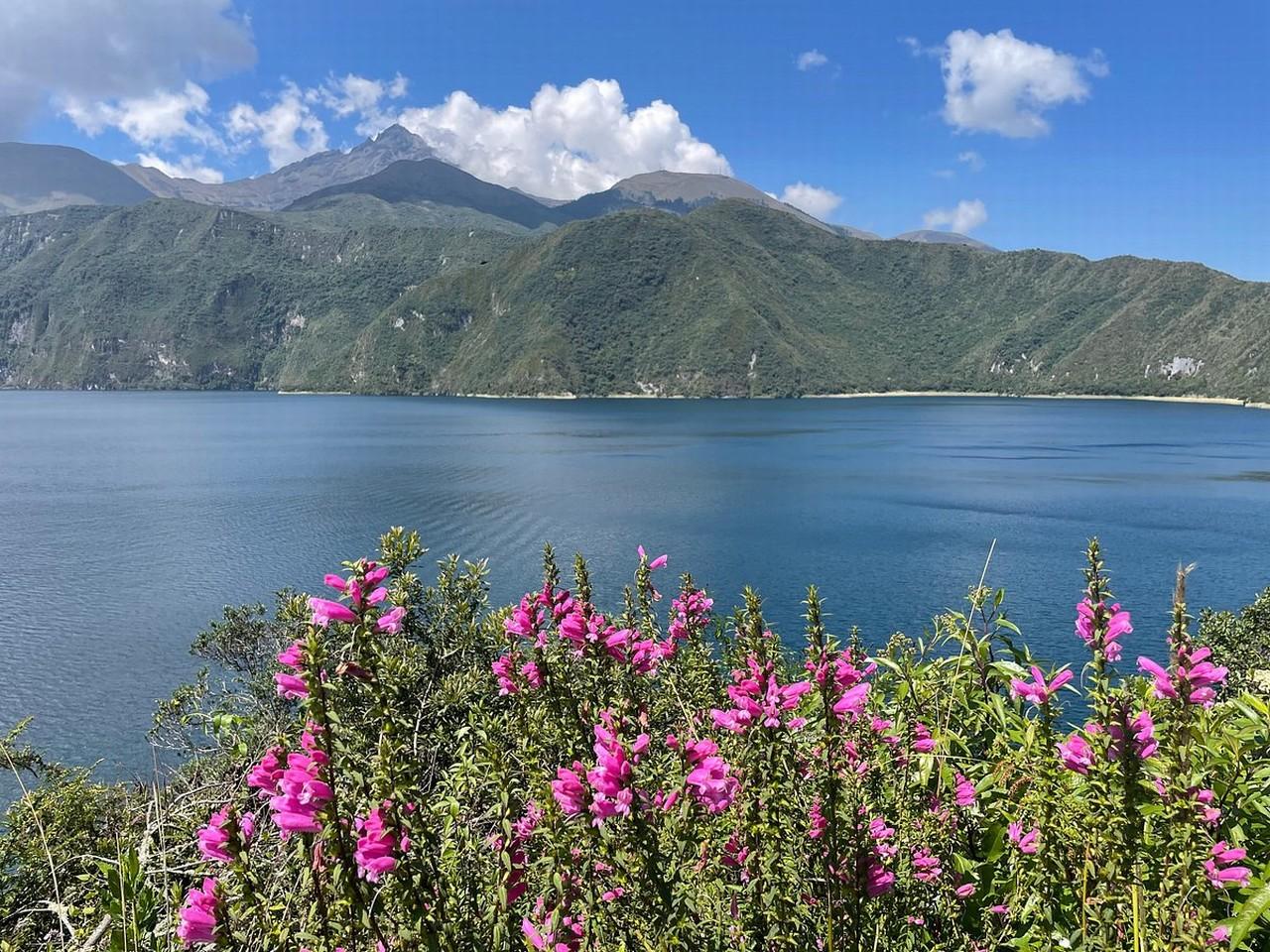 Cotopaxi Volcano & Limpiopungo Lagoon Day Trip from Quito
