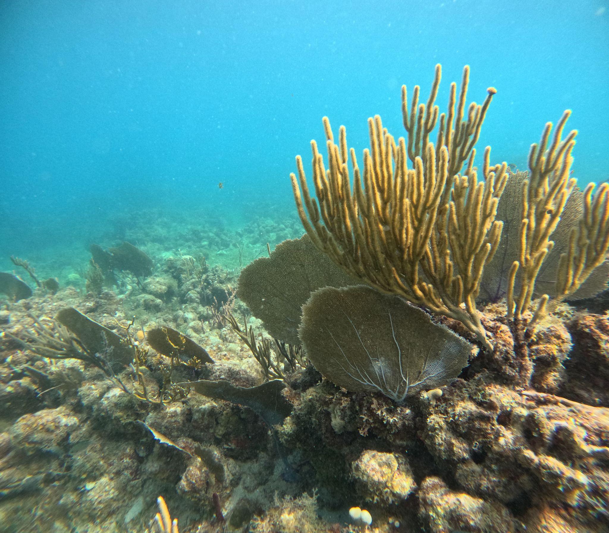 Culebra Island Snorkeling & Sailing Adventure from Fajardo