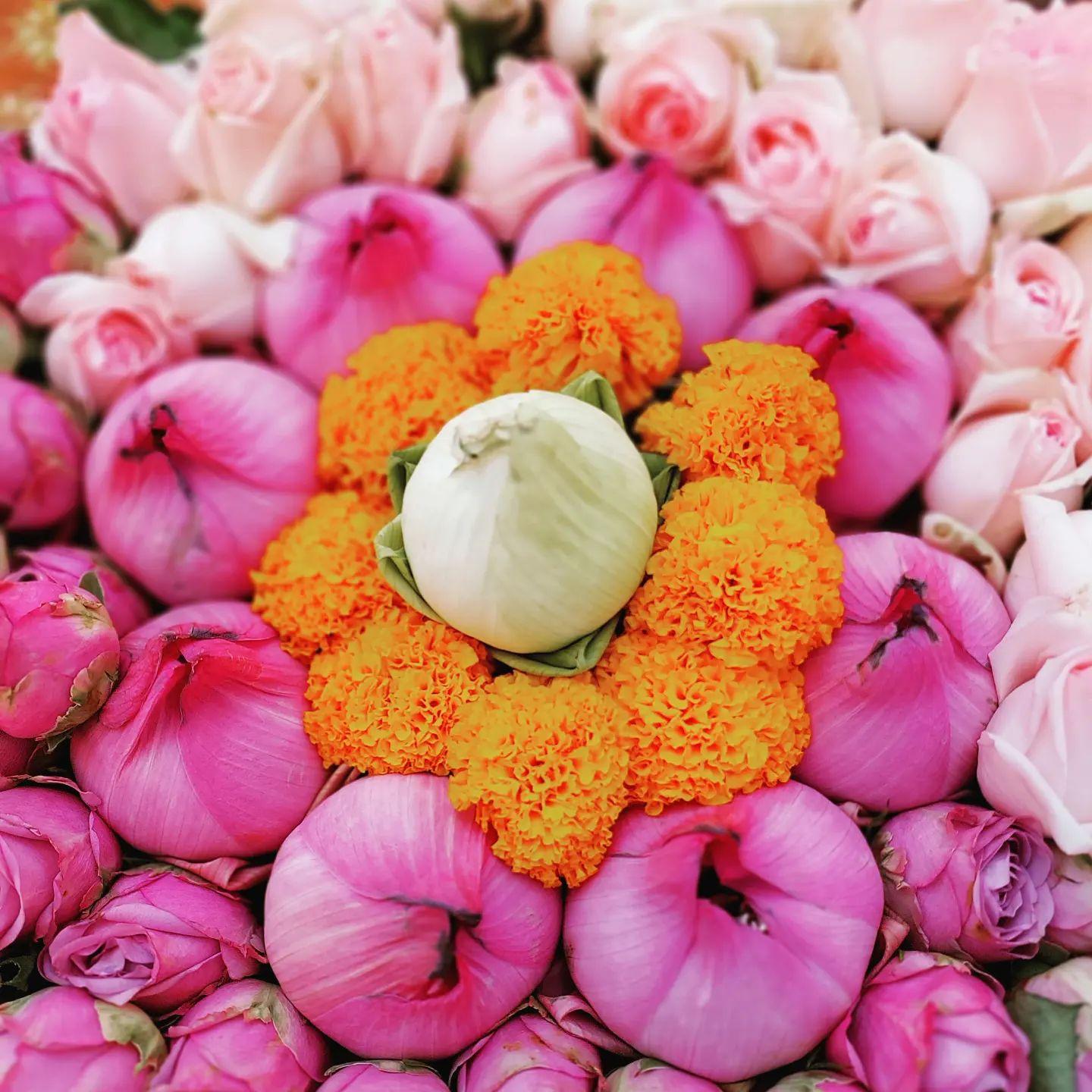Chiang Rai Temples & Golden Triangle Full-Day Tour