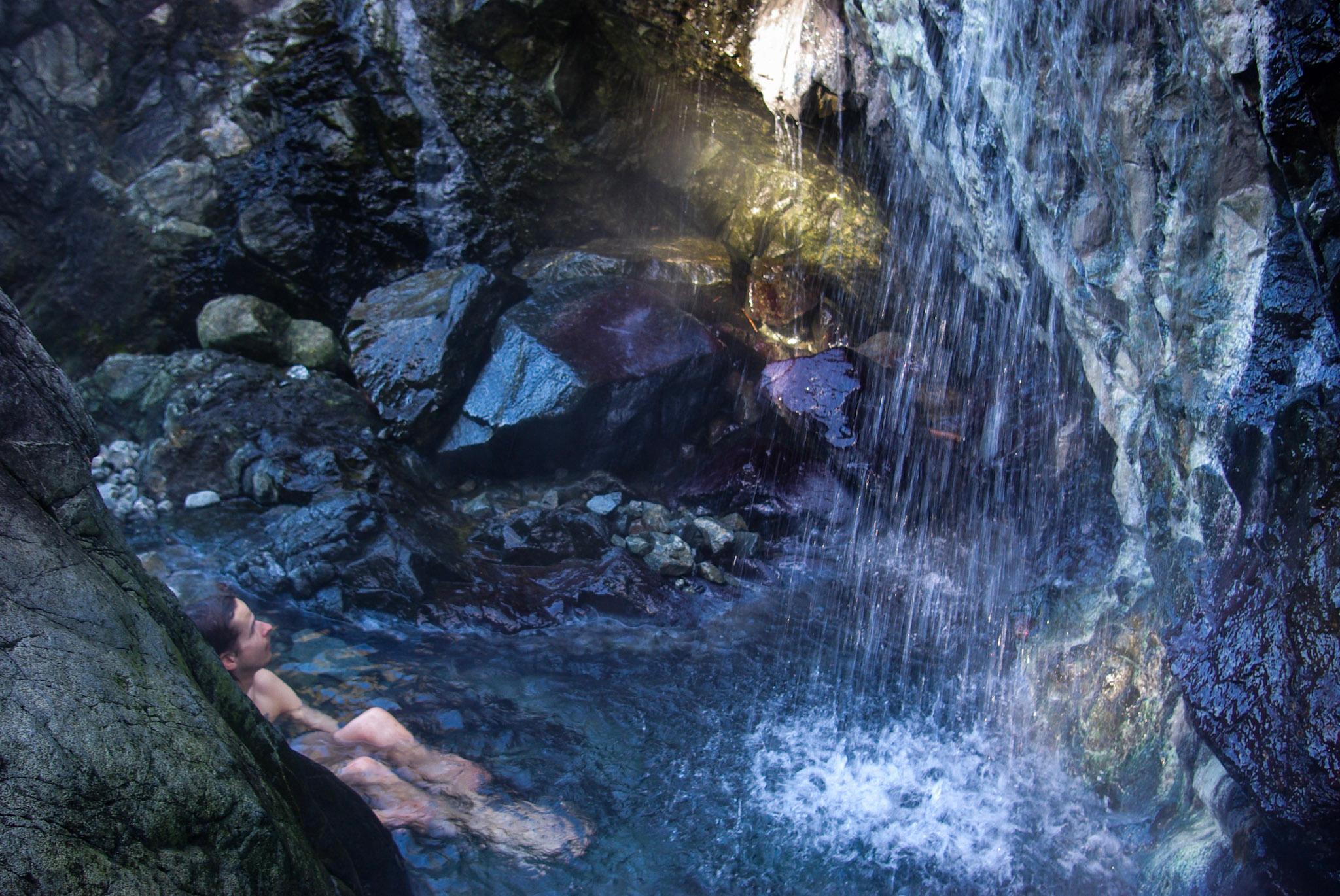 Tofino: Hot Springs Cove Tour with Wildlife Cruise
