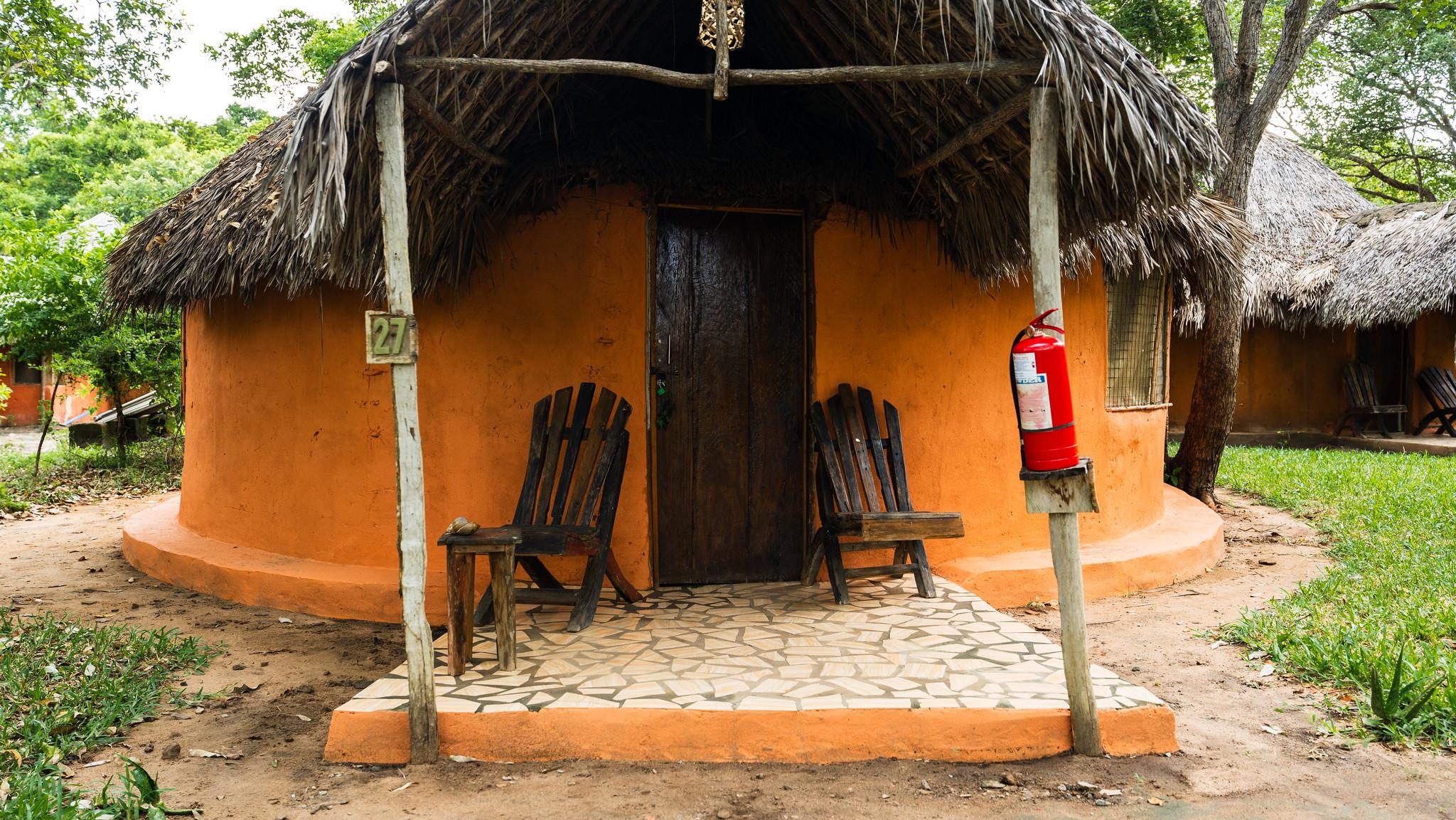 Zanzibar to Selous: 2-Day Safari with Flights & Bush Lunch