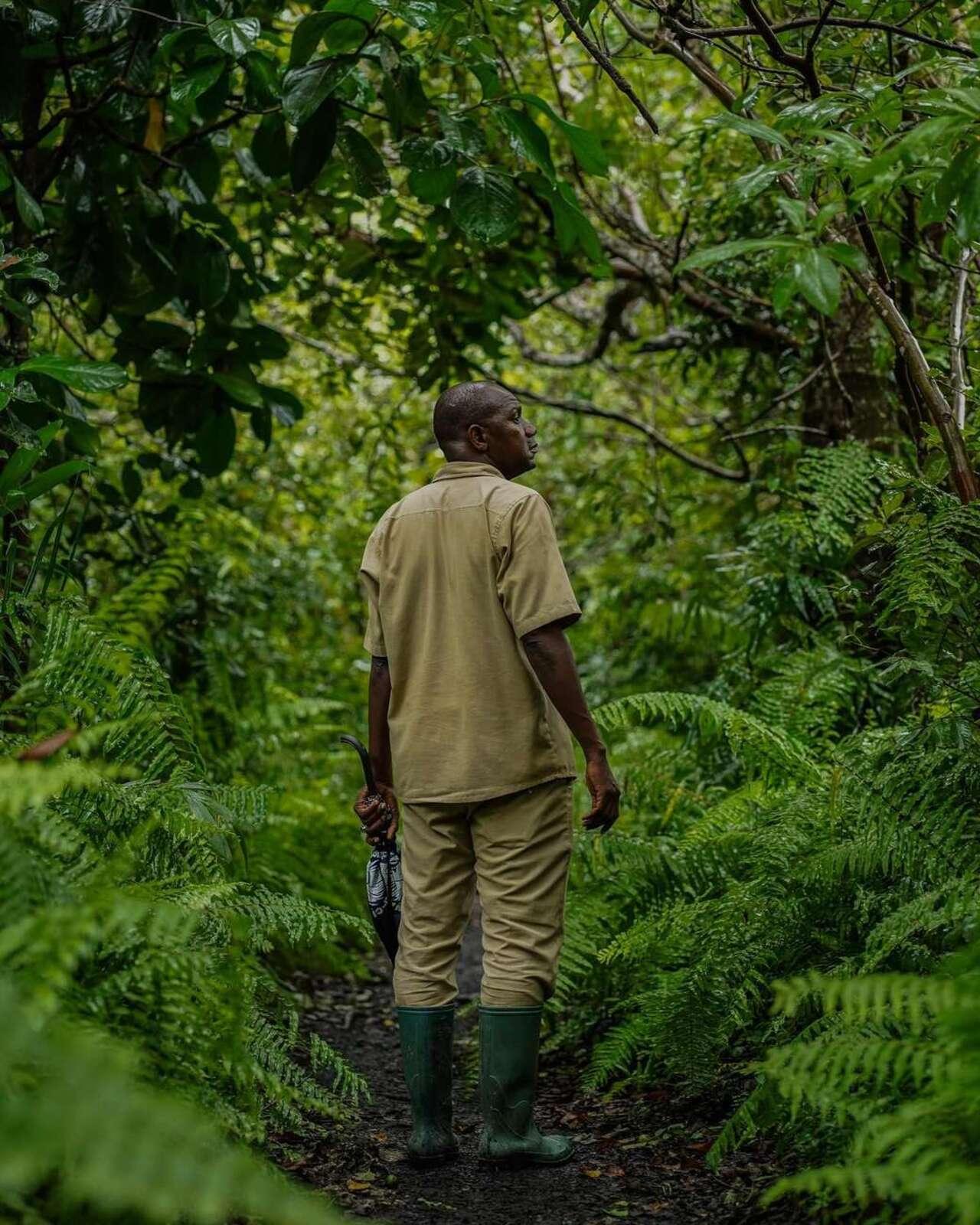 Zanzibar: Jozani Forest, Swahili Cave & Mtende Beach Day Tour