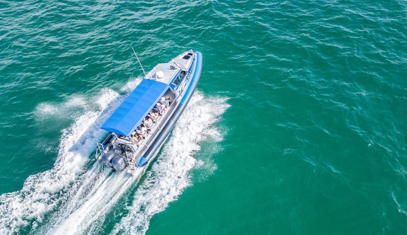 Lake Macquarie Ocean Explorer Coastal Adventure