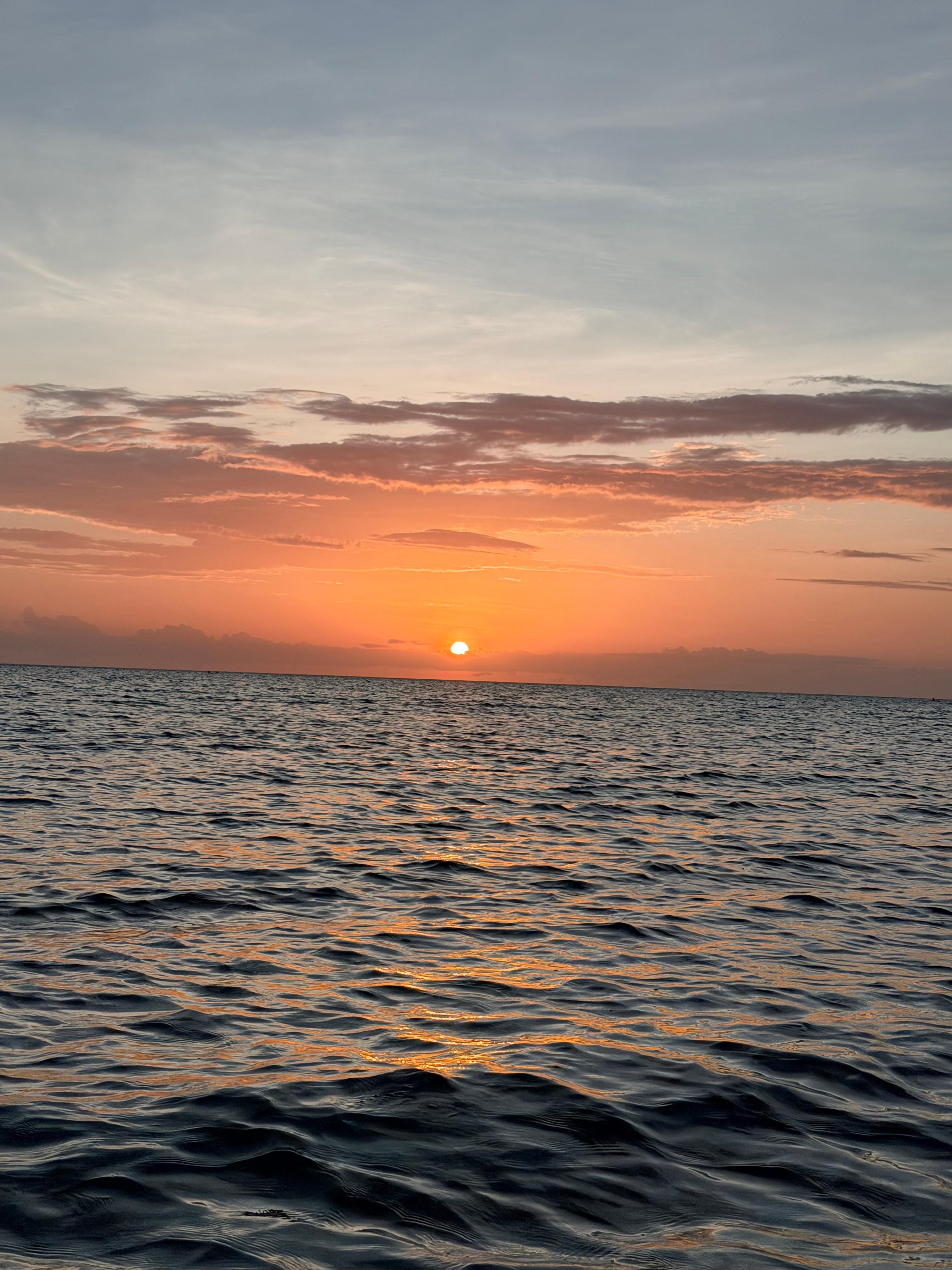 Zanzibar Sunset Dolphin Swim & Mnemba Island Snorkel Tour