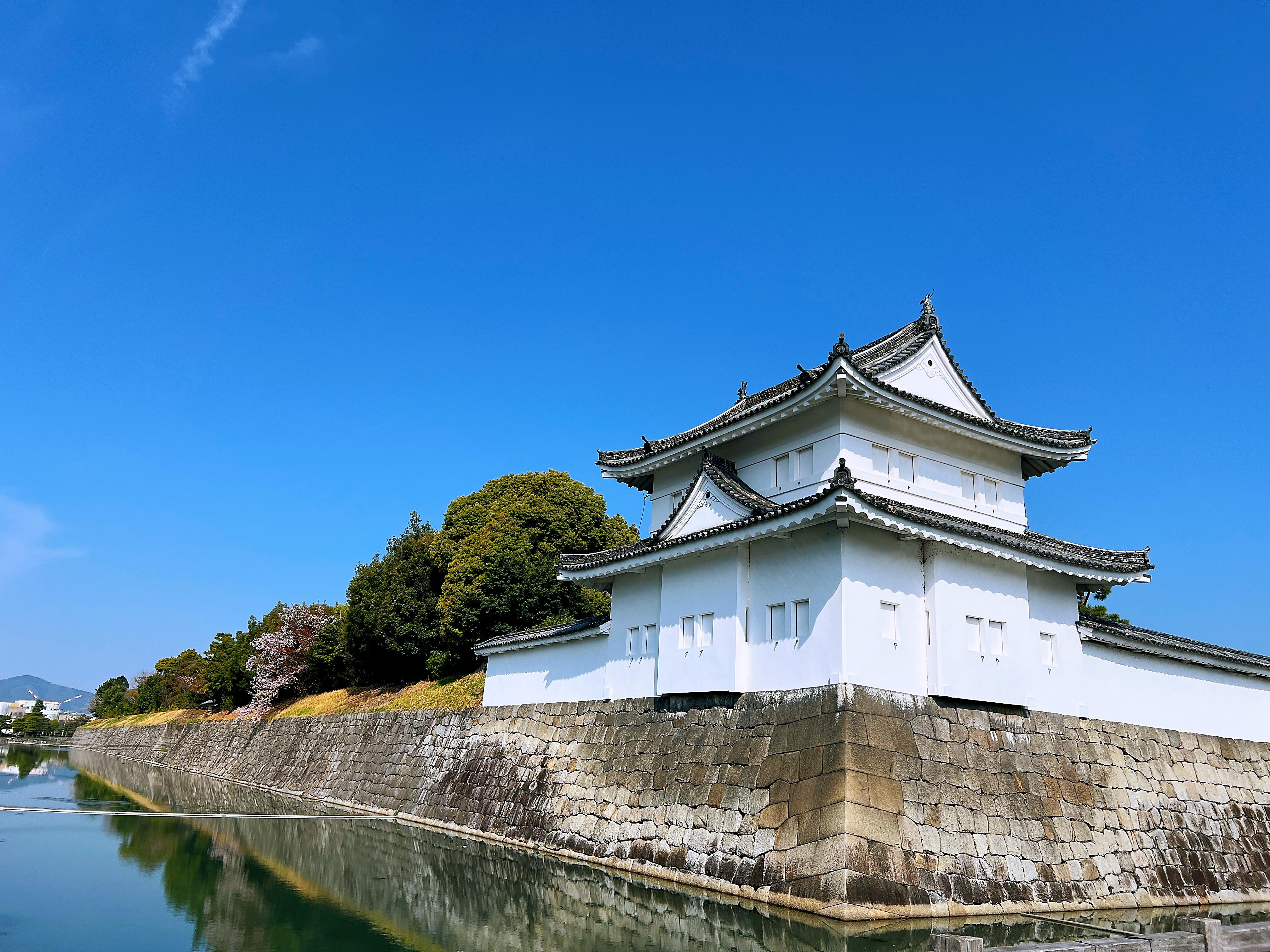 Kyoto Nijo-jo Castle: Private Samurai & Shogun History Tour