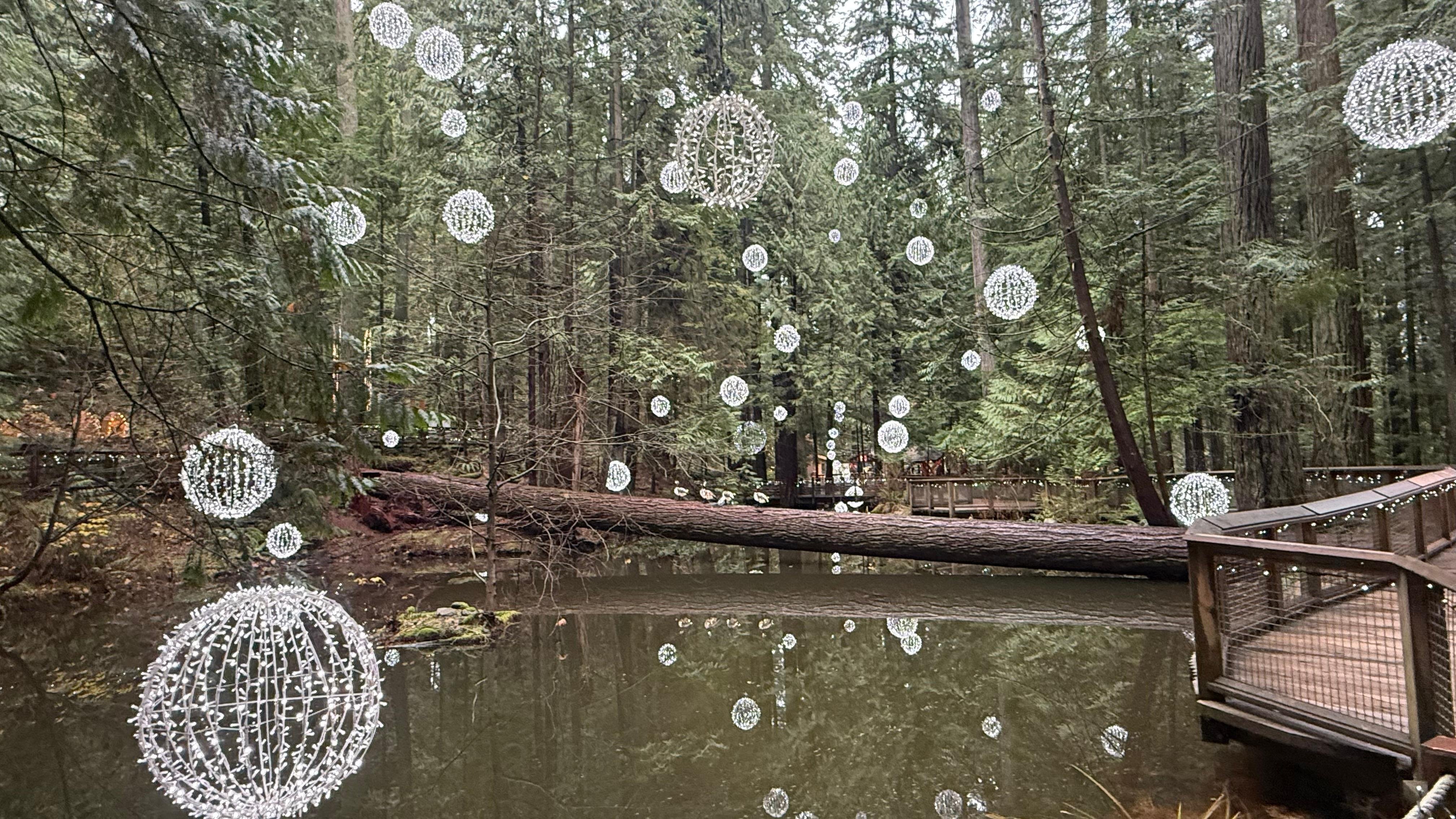 Capilano Suspension Bridge & Stanley Park Small Group Tour