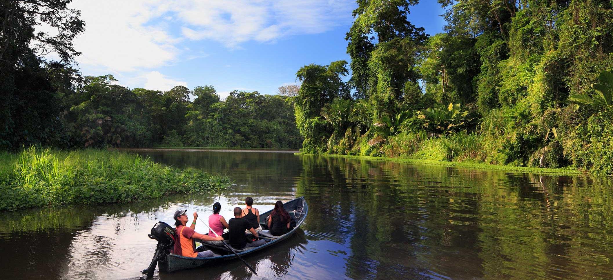 Tortuguero National Park Canoe Wildlife Tour
