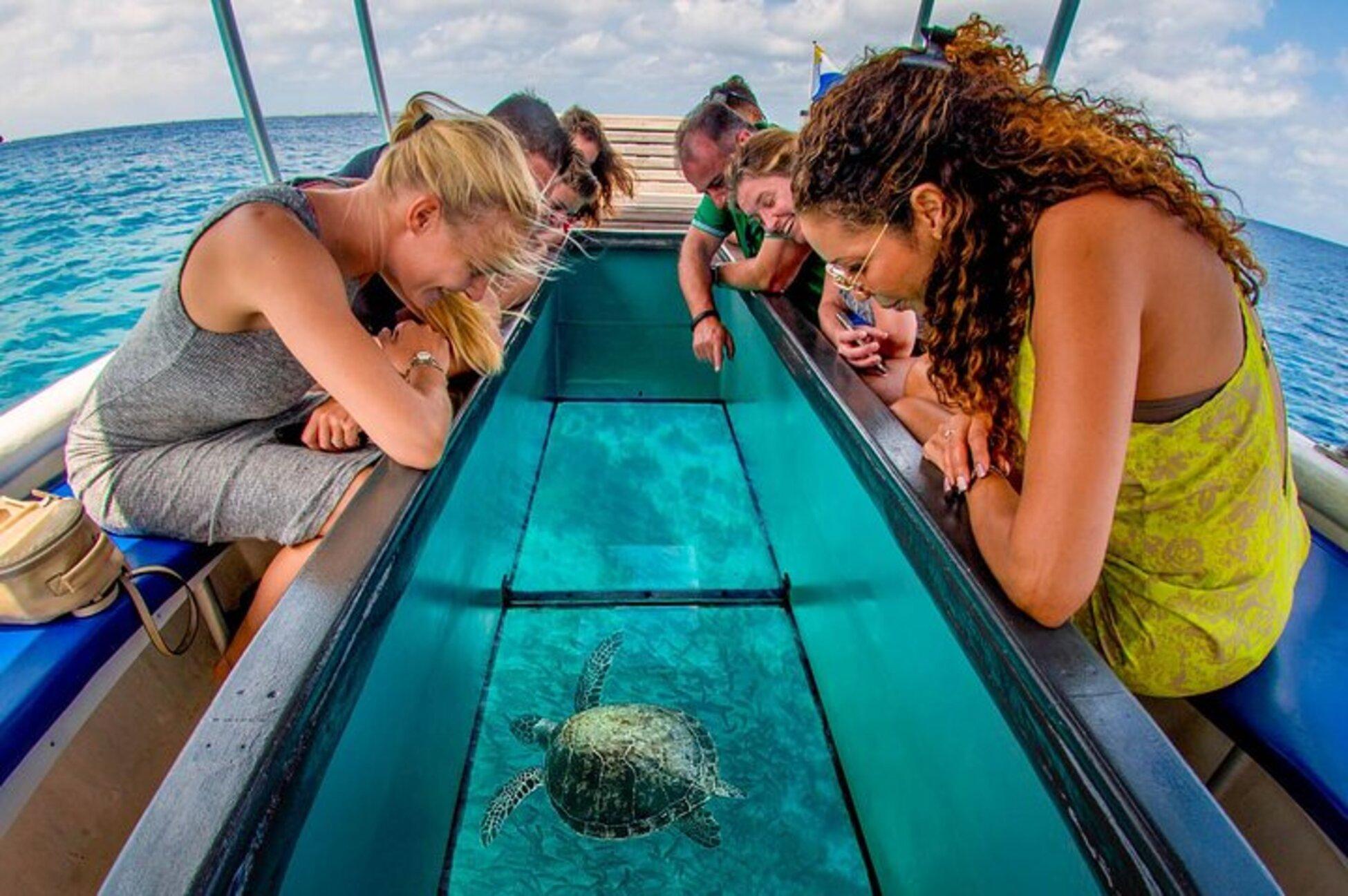 Sosua Bay Glass Bottom Boat & Snorkeling Adventure