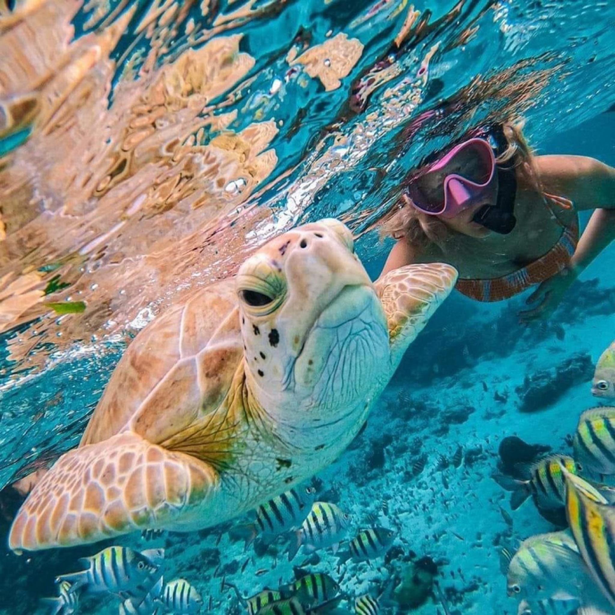 Bali Snorkeling Excursion: Blue Lagoon & Tanjung Jepun
