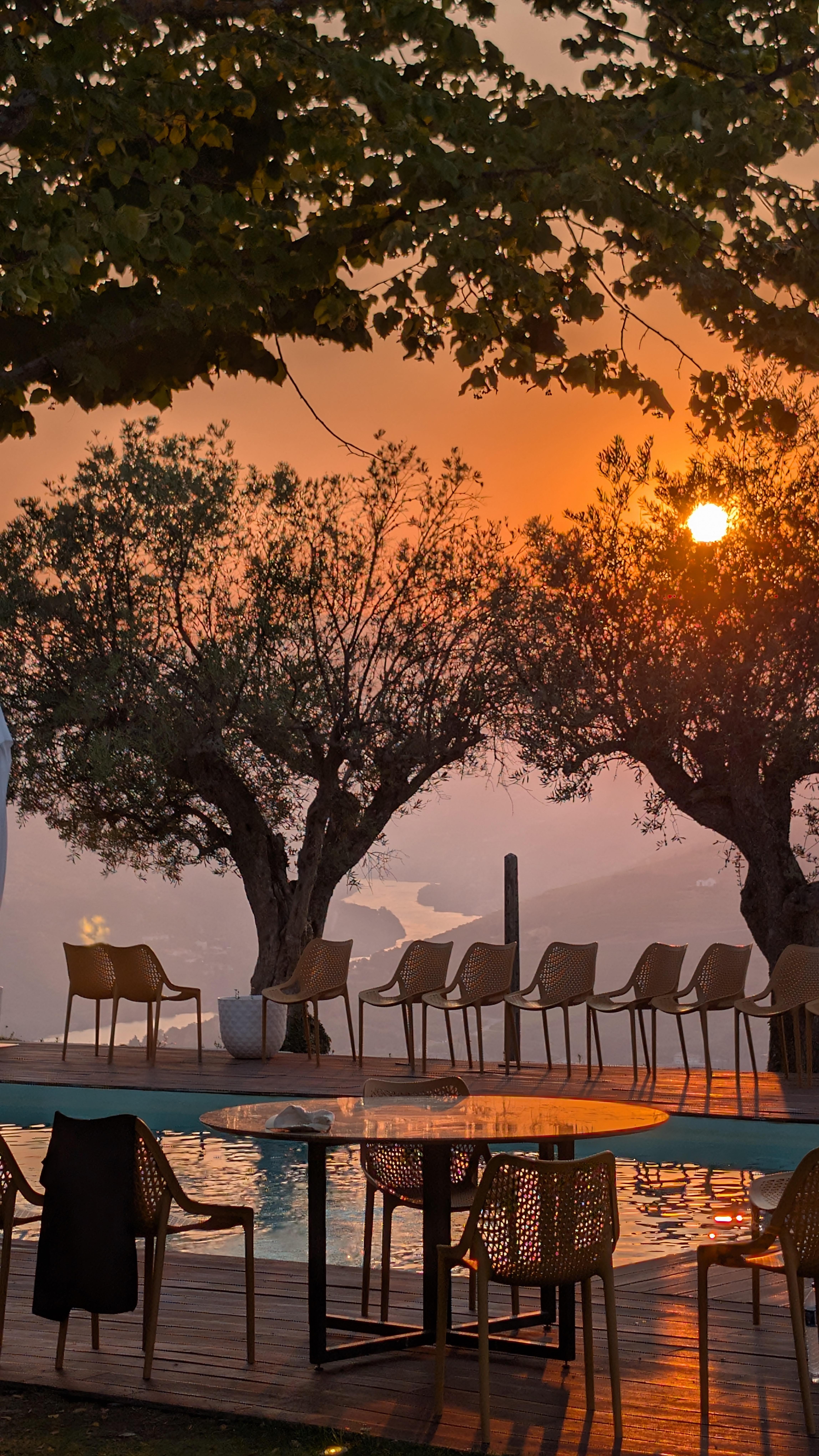 Porto: Douro Valley & Vinho Verde Day Tour with Tastings, Lunch & Boat Cruise
