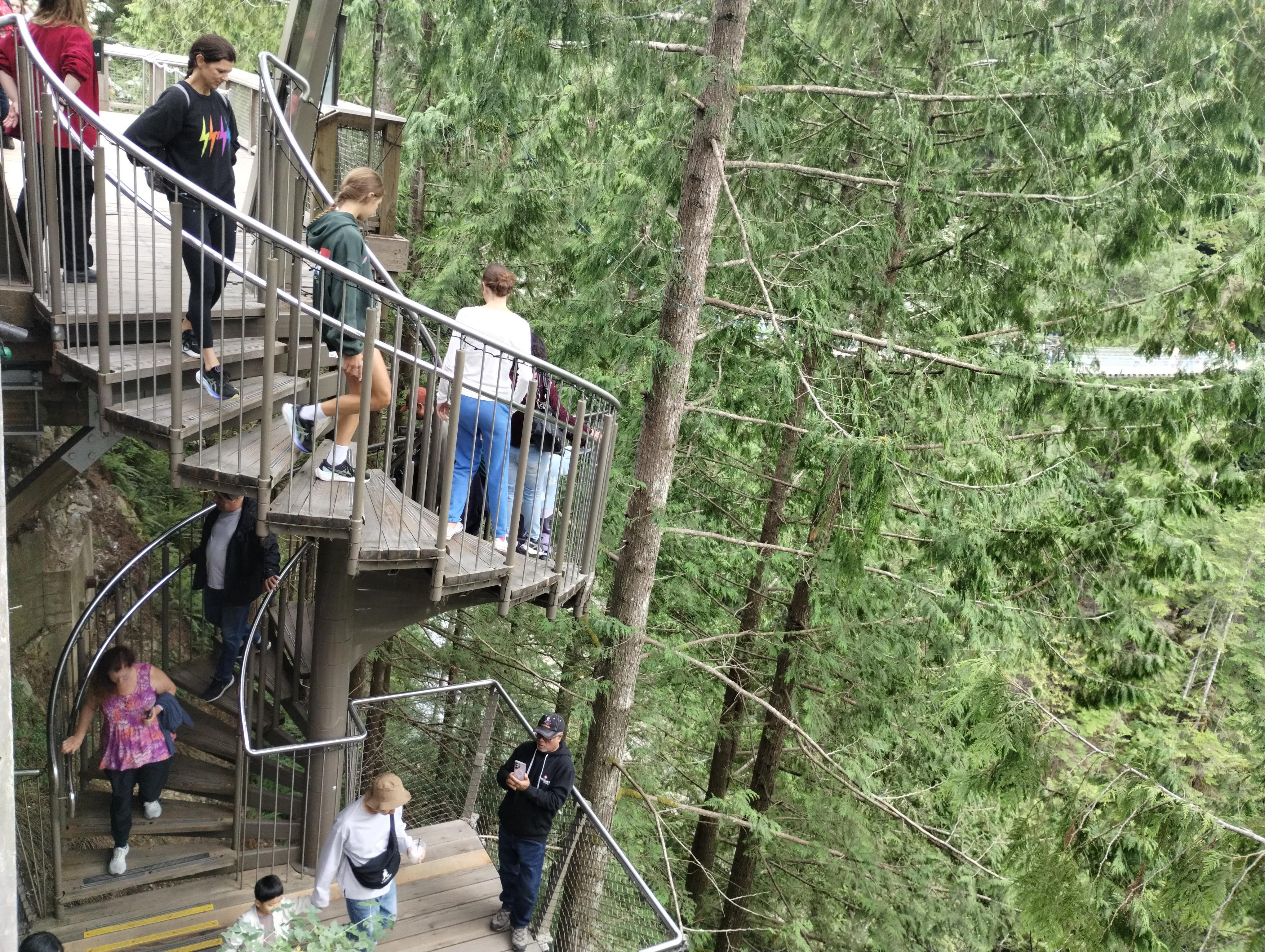 Capilano Suspension Bridge & Stanley Park Small Group Tour