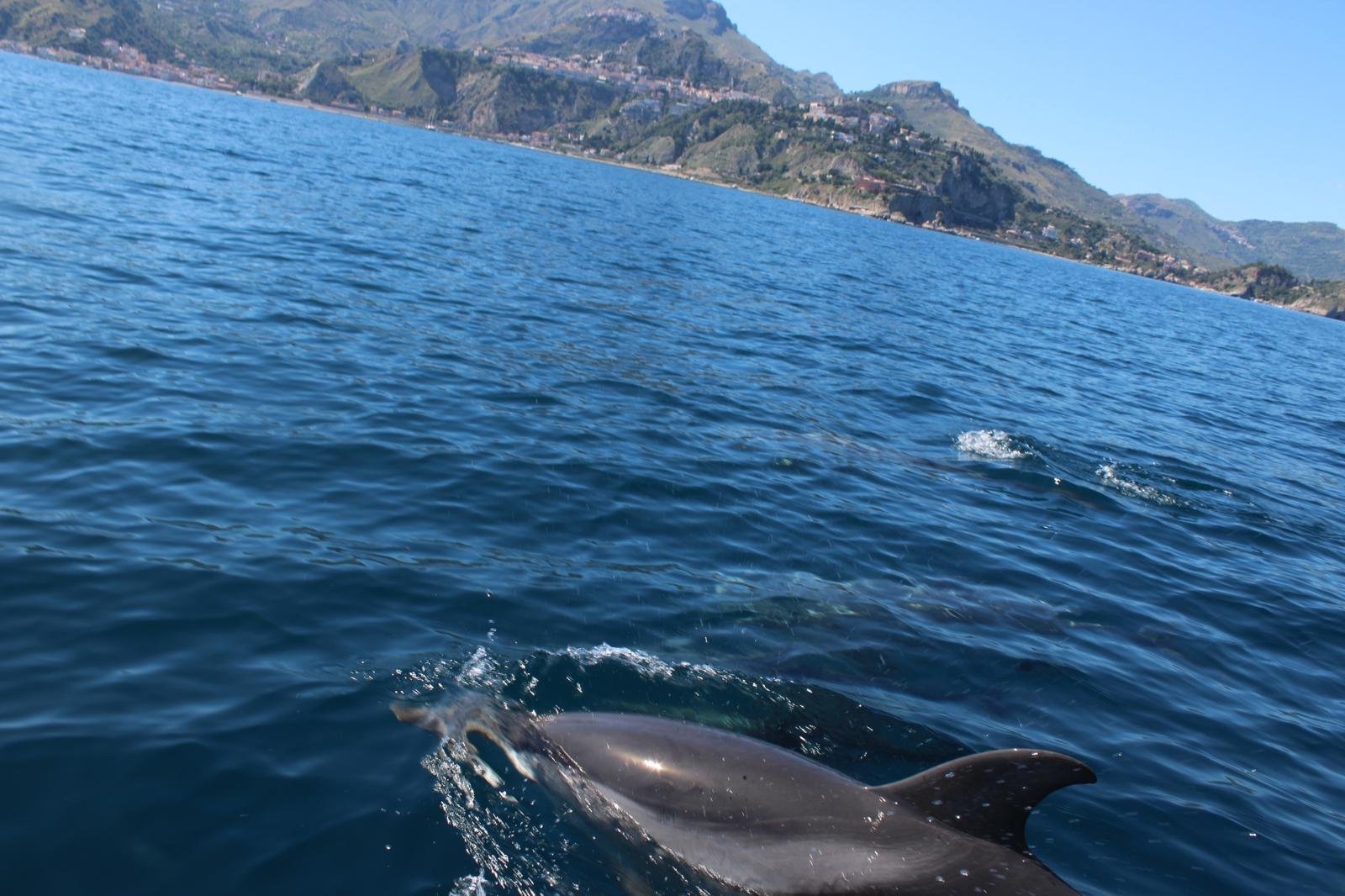 Taormina Sunset Catamaran & Dolphin Watching Cruise