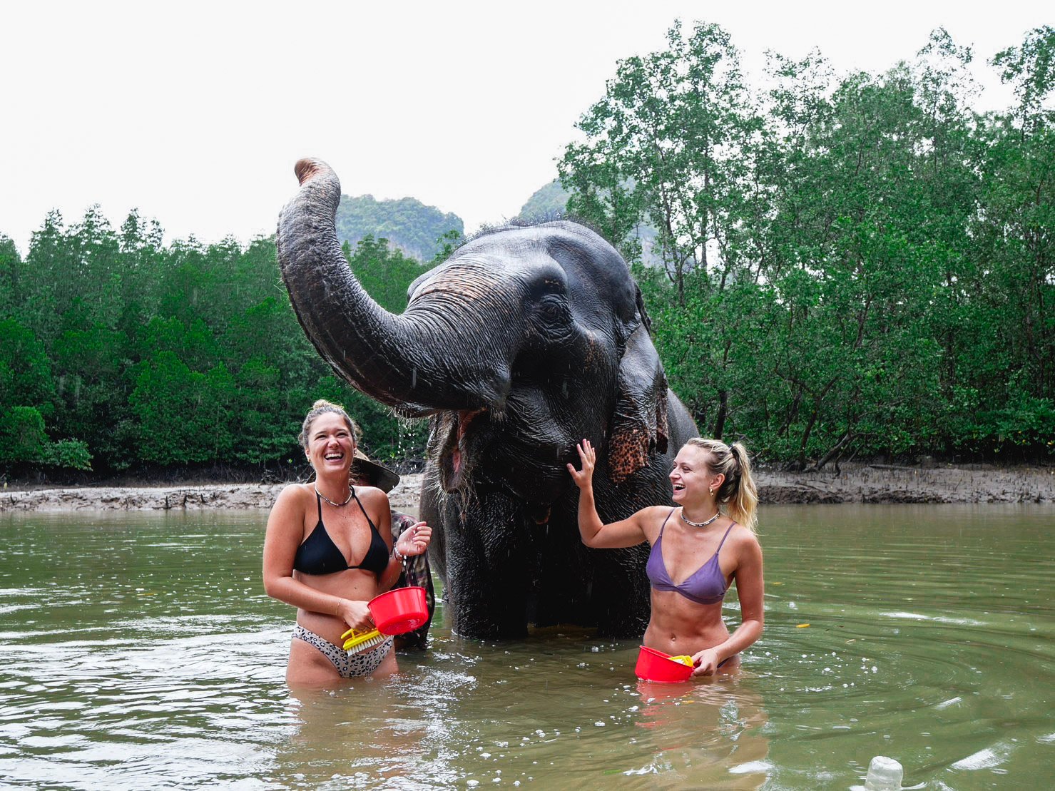 Krabi Elephant Shelter: Bathing & Feeding Experience