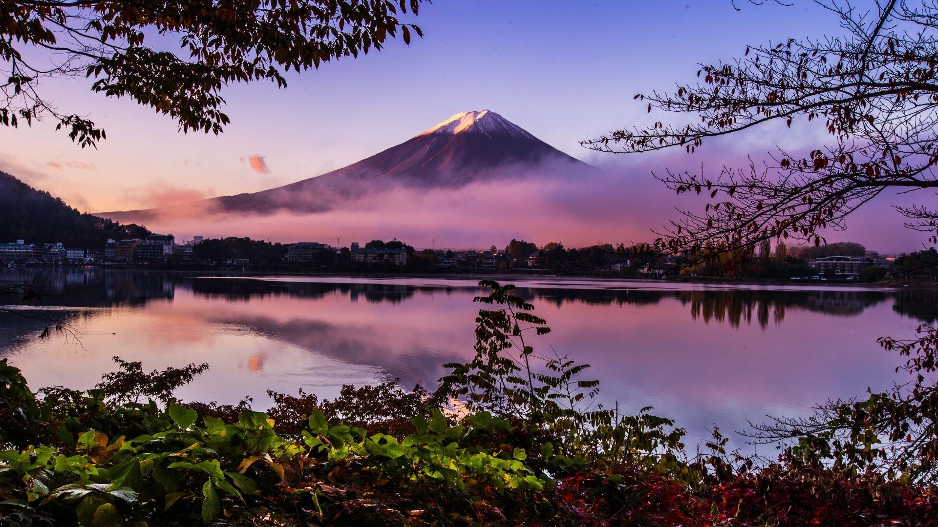 Mt. Fuji Iconic Views & Photography Day Trip from Tokyo