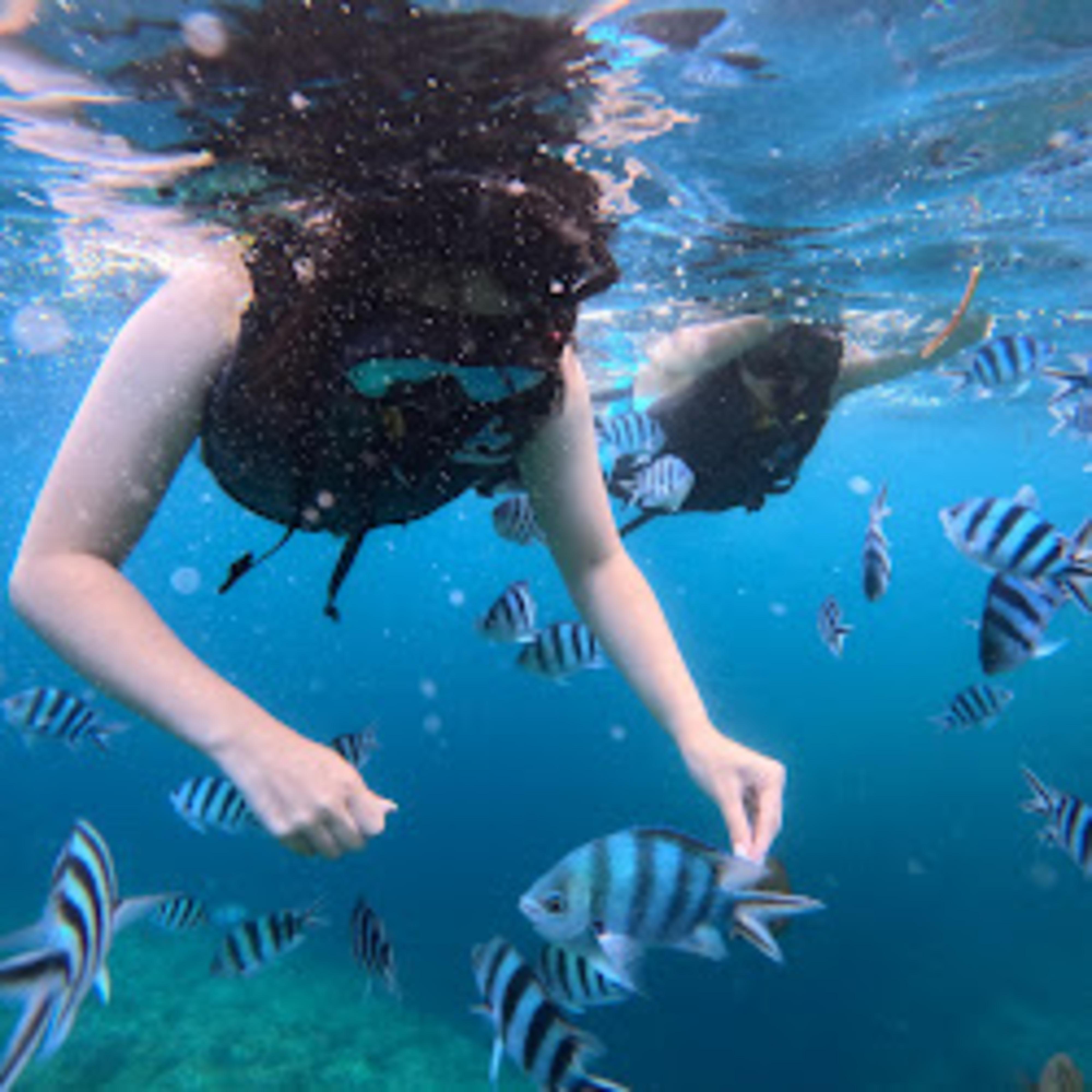 Okinawa: Blue Cave Boat Snorkeling with Free Gopro Photos