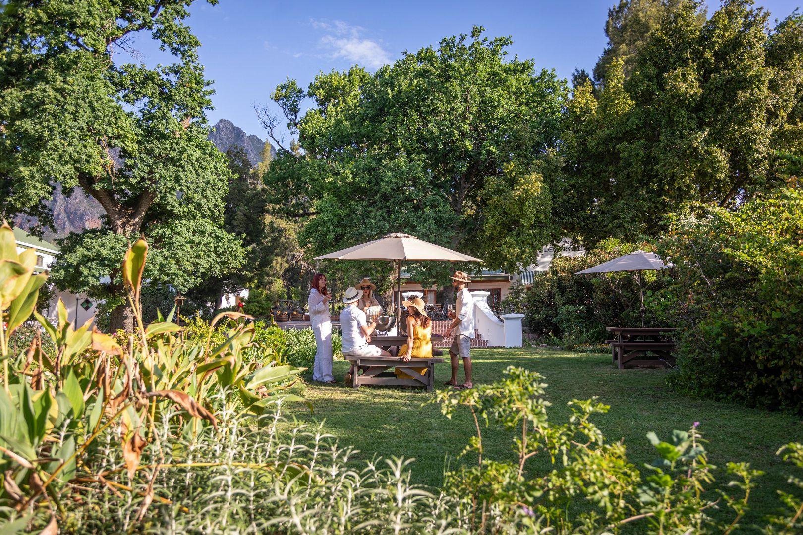 Cape Winelands Full-Day Tour: Stellenbosch, Franschhoek & Paarl