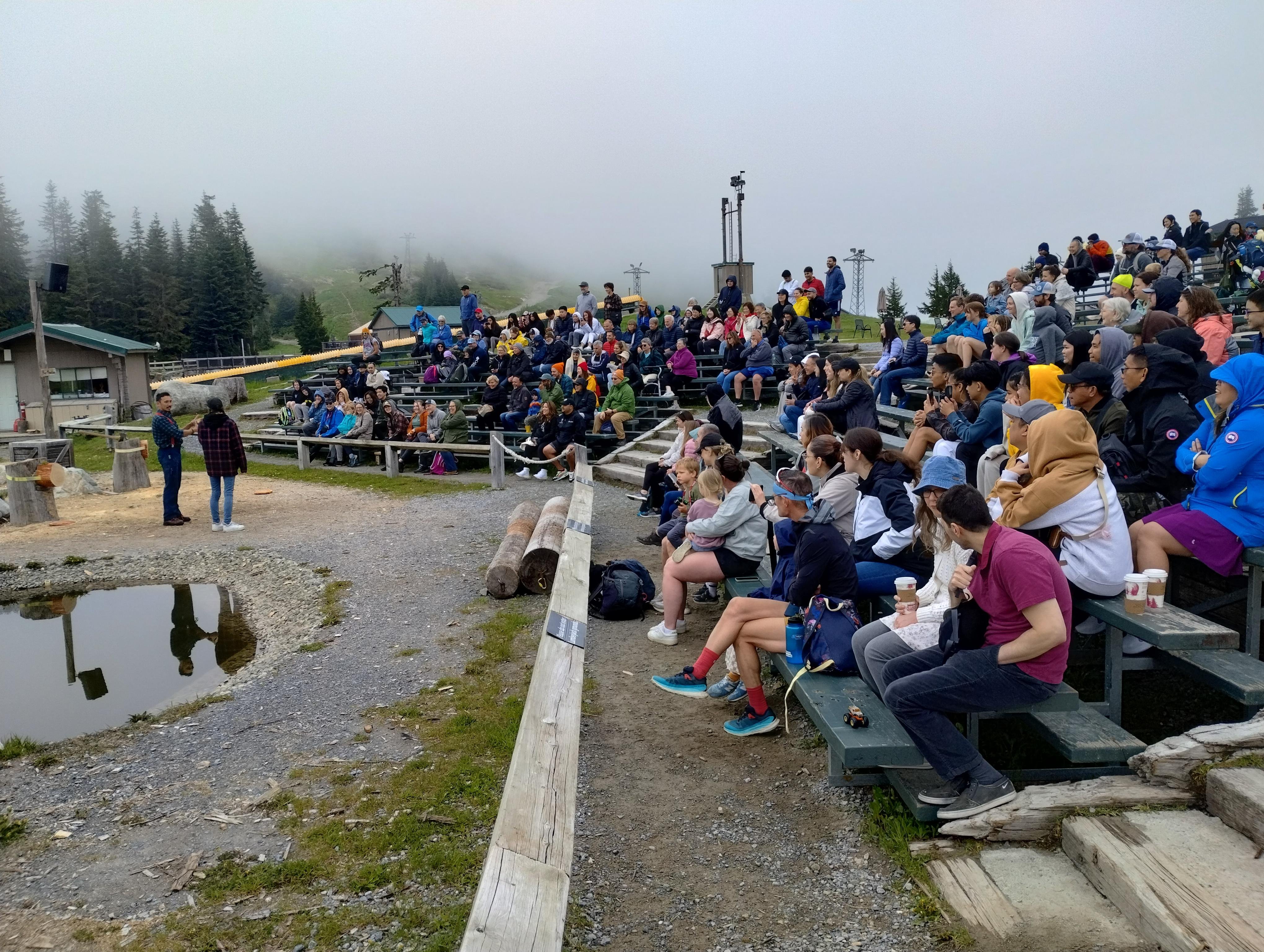 5-in-1 Vancouver Highlights: Grouse Mountain & Capilano Bridge Private Car Tour