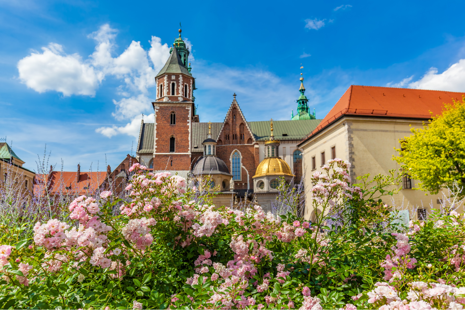 Kraków Wawel Castle & Cathedral Private Guided Tour