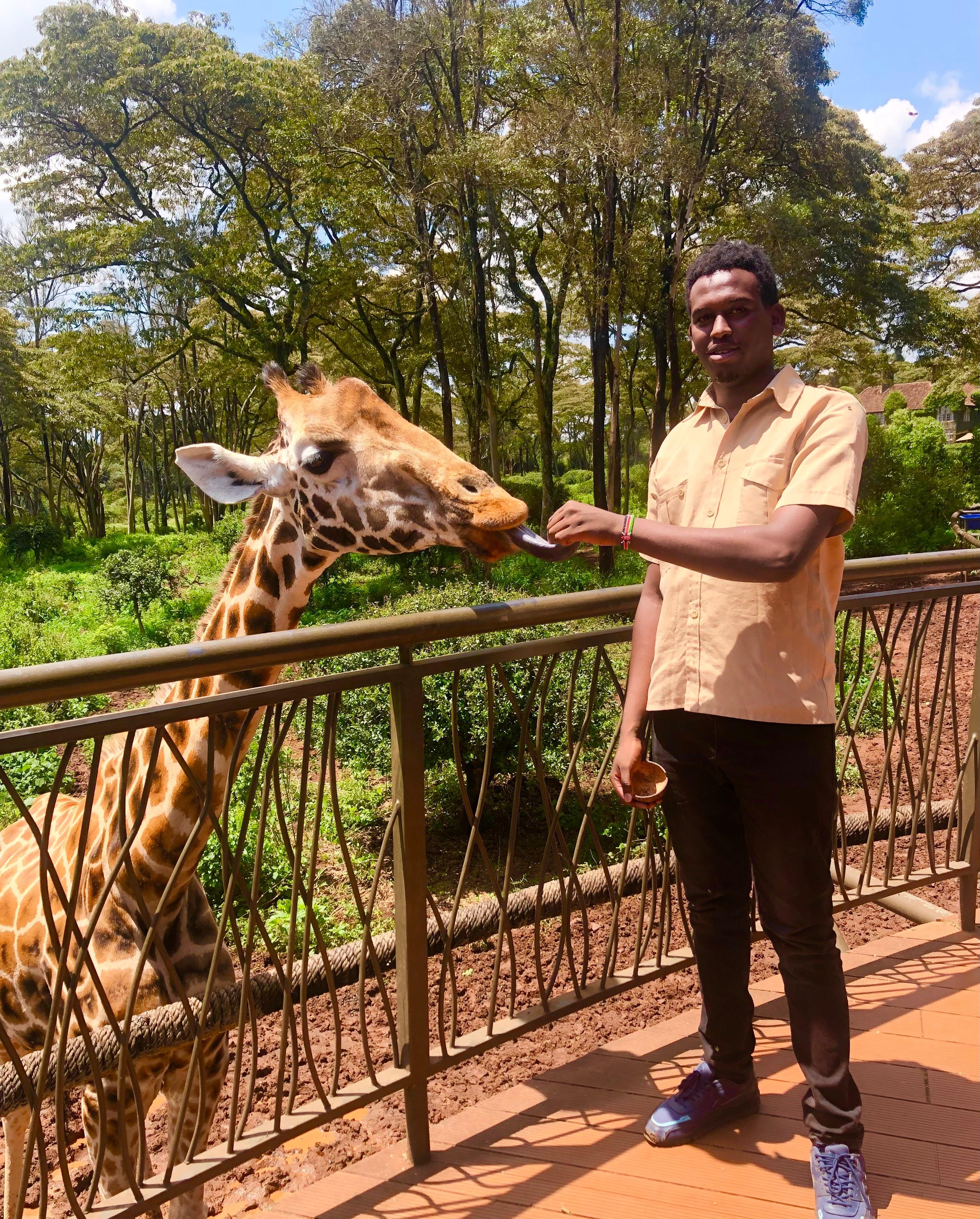 Nairobi Elephant & Giraffe Sanctuary Half-Day Excursion