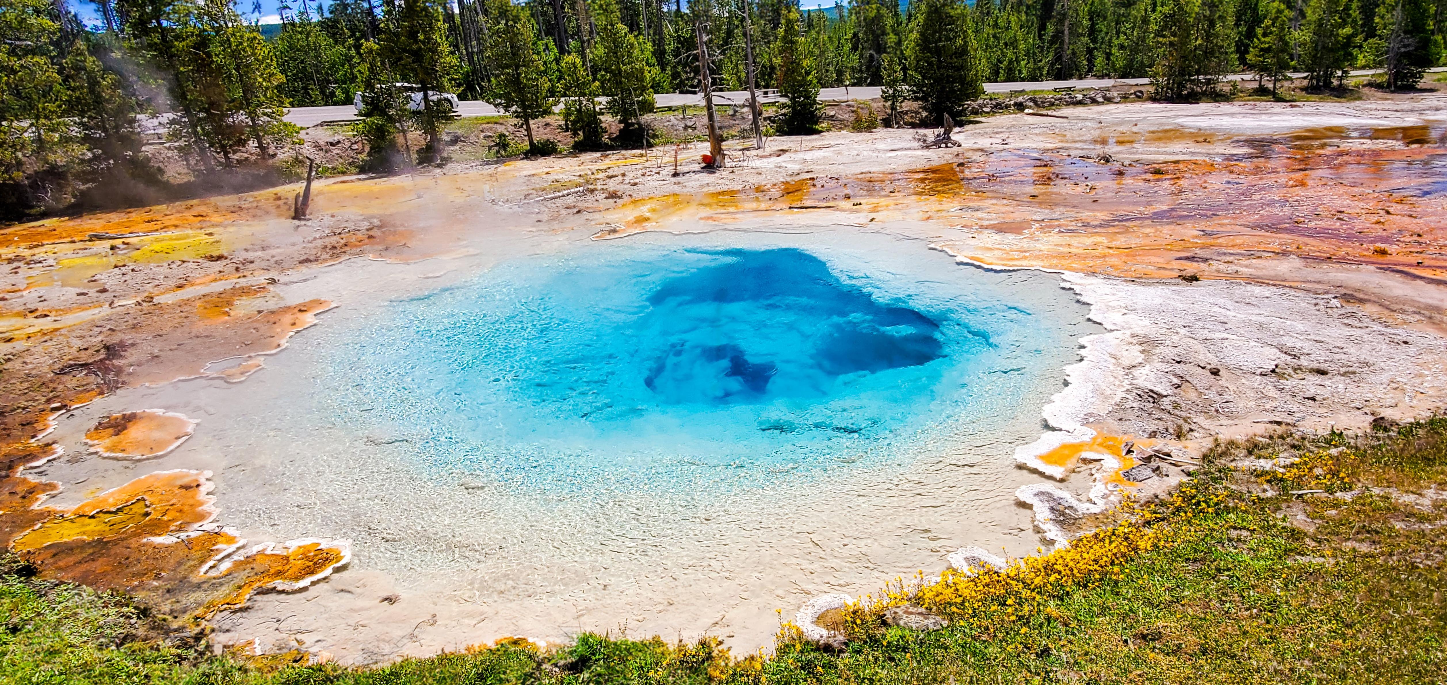 Yellowstone Express Day Tour from Bozeman