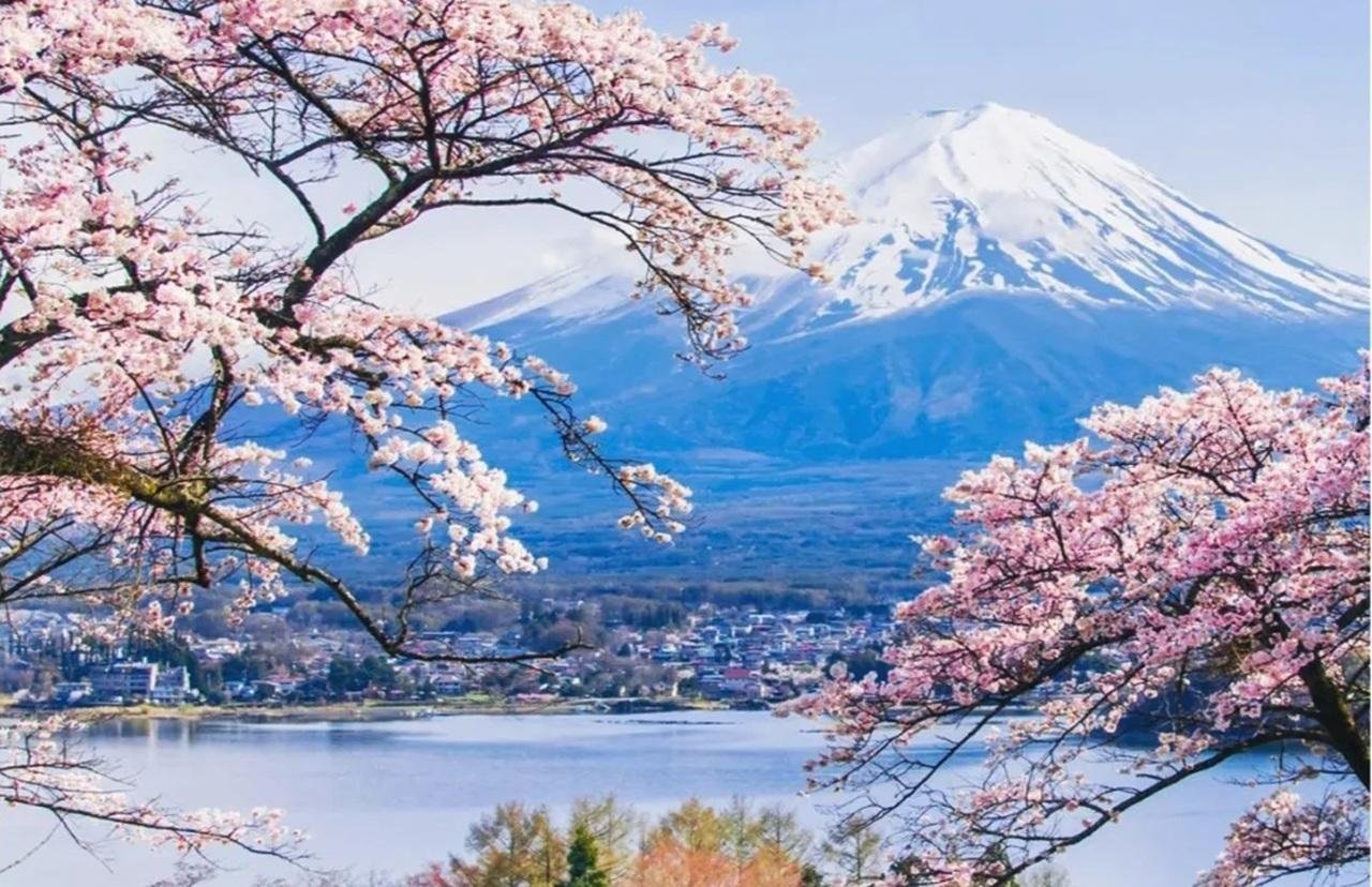 Mount Fuji Day Trip: Scenic Parks, Springs, and Photo Hotspots