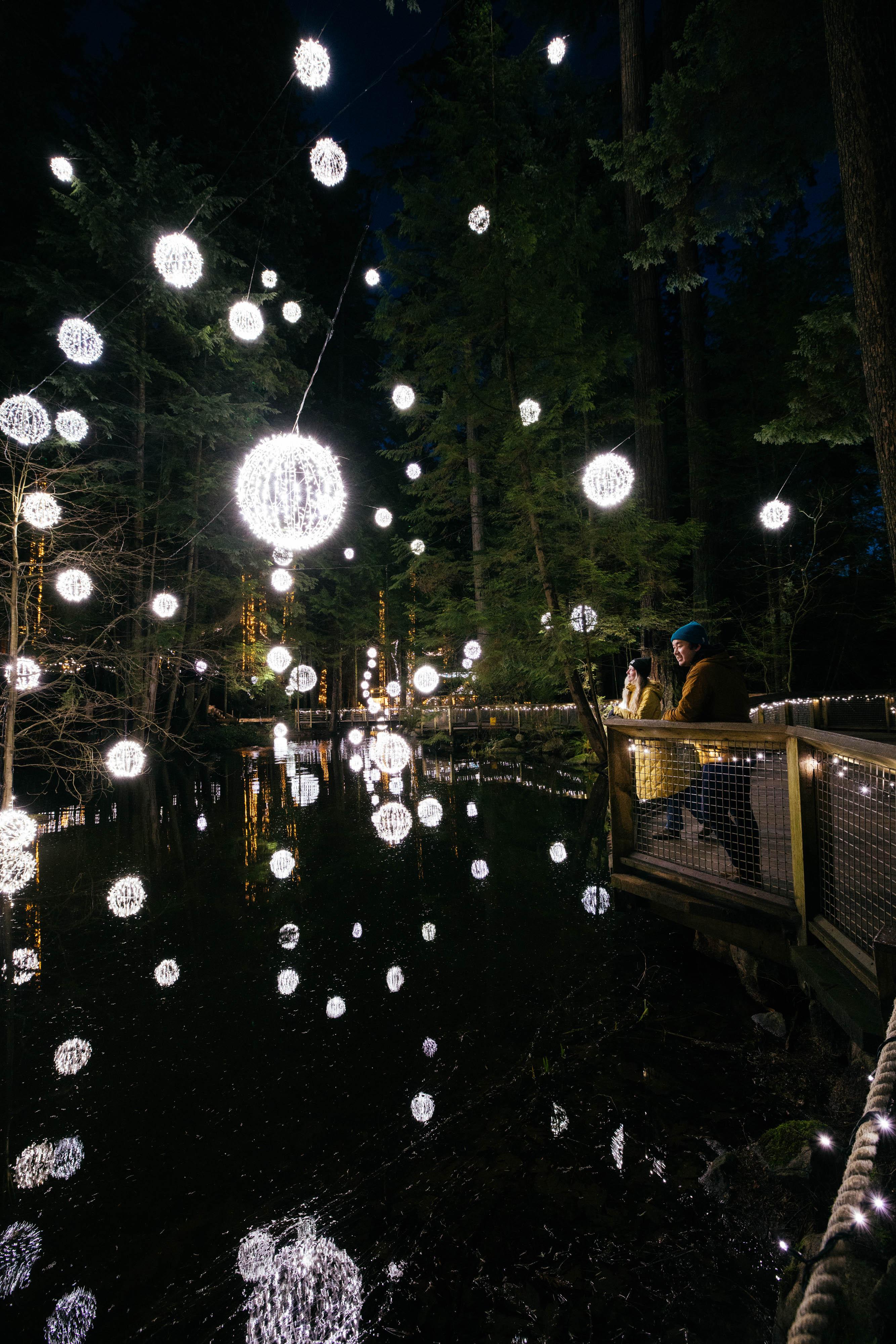 Capilano Suspension Bridge Park Entry