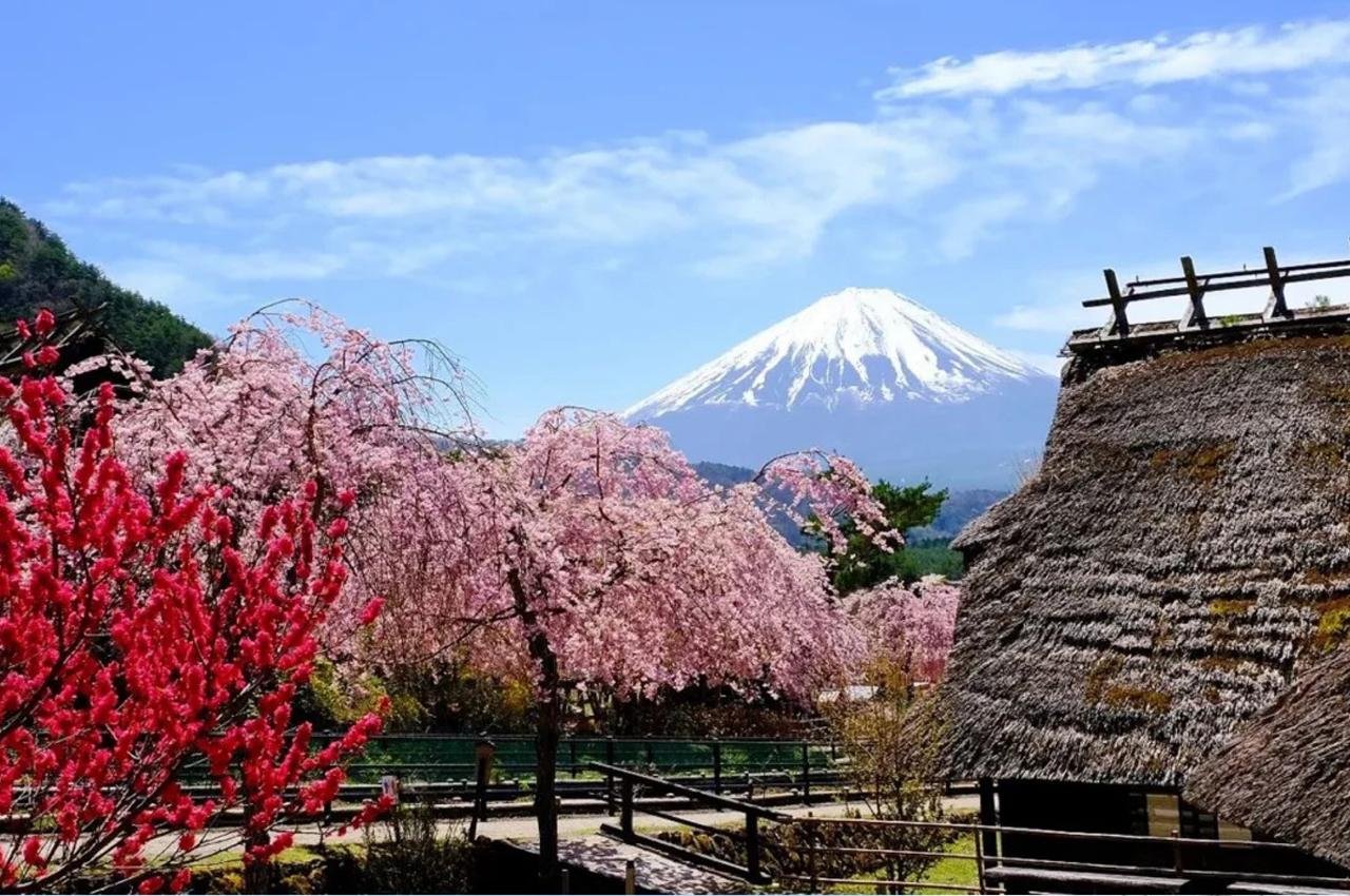 Mt. Fuji Heritage & Culture Day Trip