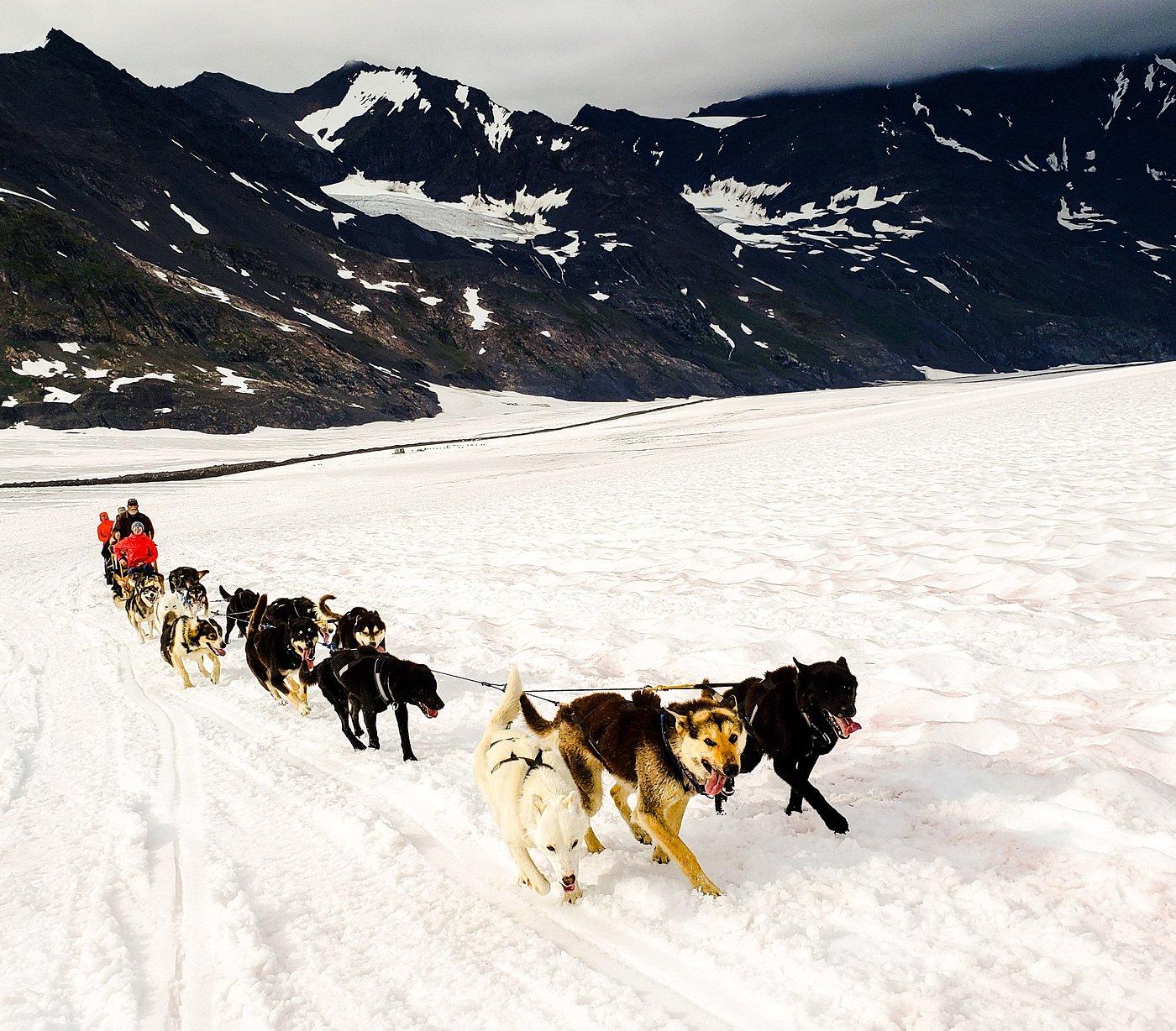 dog sledding in Anchorage — photo 3