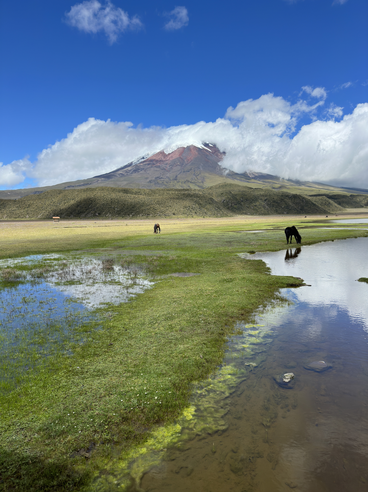 Cotopaxi & Baños Day Trip from Quito – Fully Guided