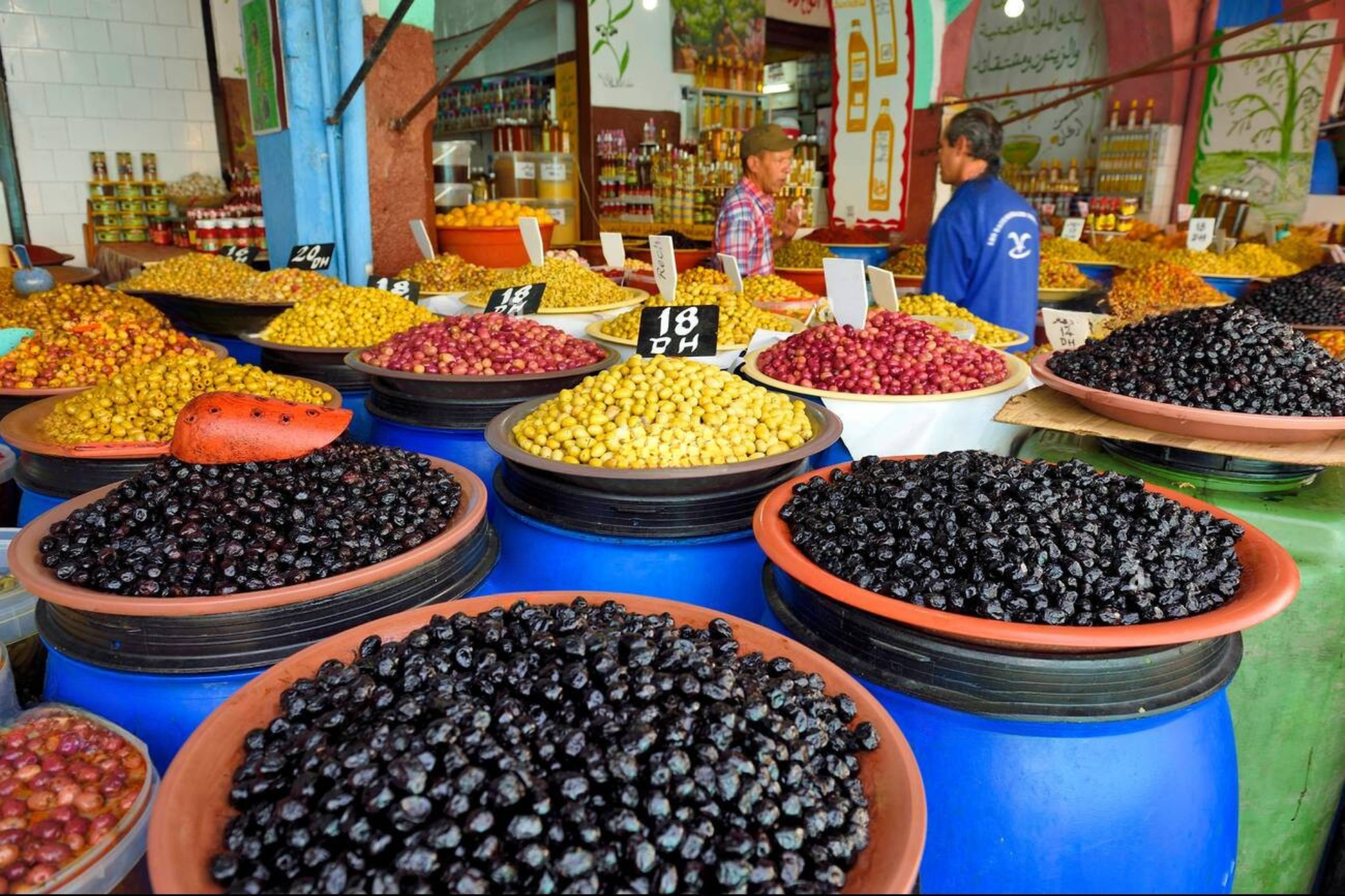 Casablanca City Highlights: 5-Hour Guided Tour