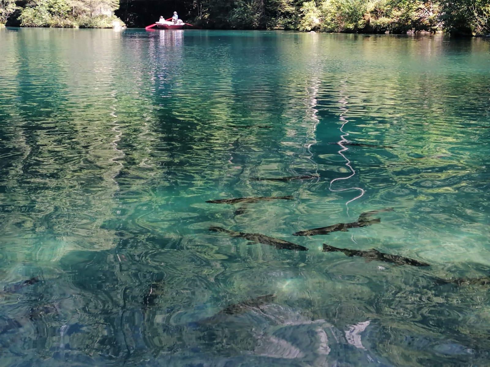 Swiss Alps Highlights: Interlaken, Lauterbrunnen & Jungfrau Day Trip