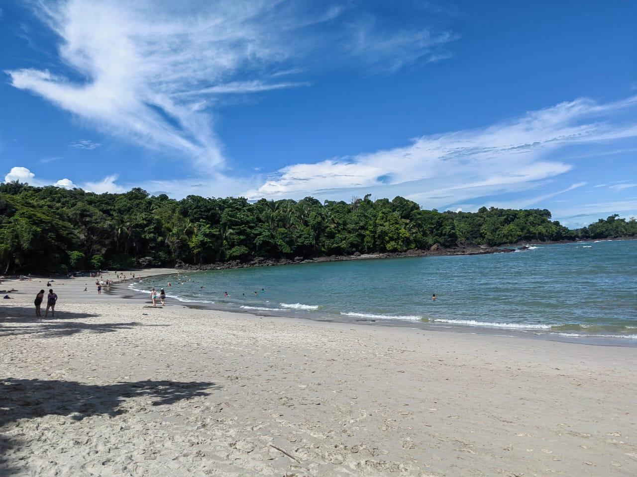 Manuel Antonio National Park: Wildlife Guided Tour with Entrance Fee