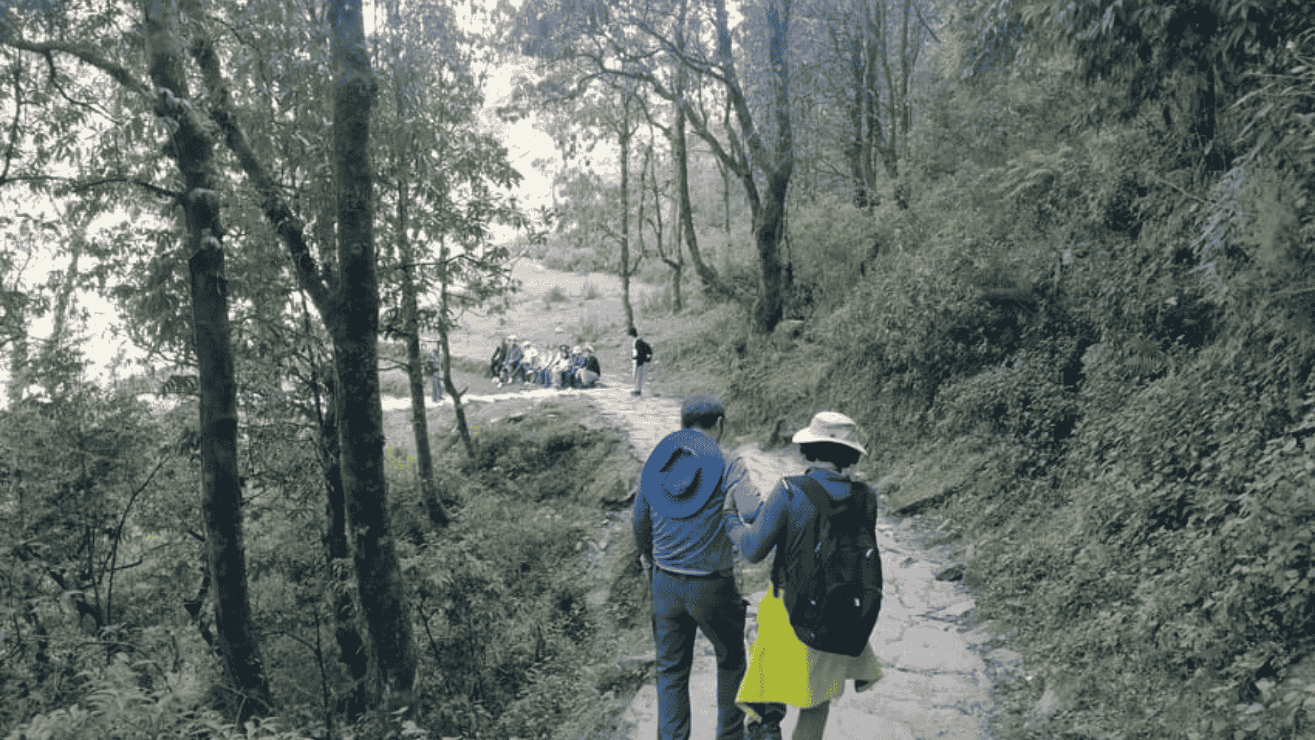 Annapurna Foothills Day Hike from Pokhara with Transfers