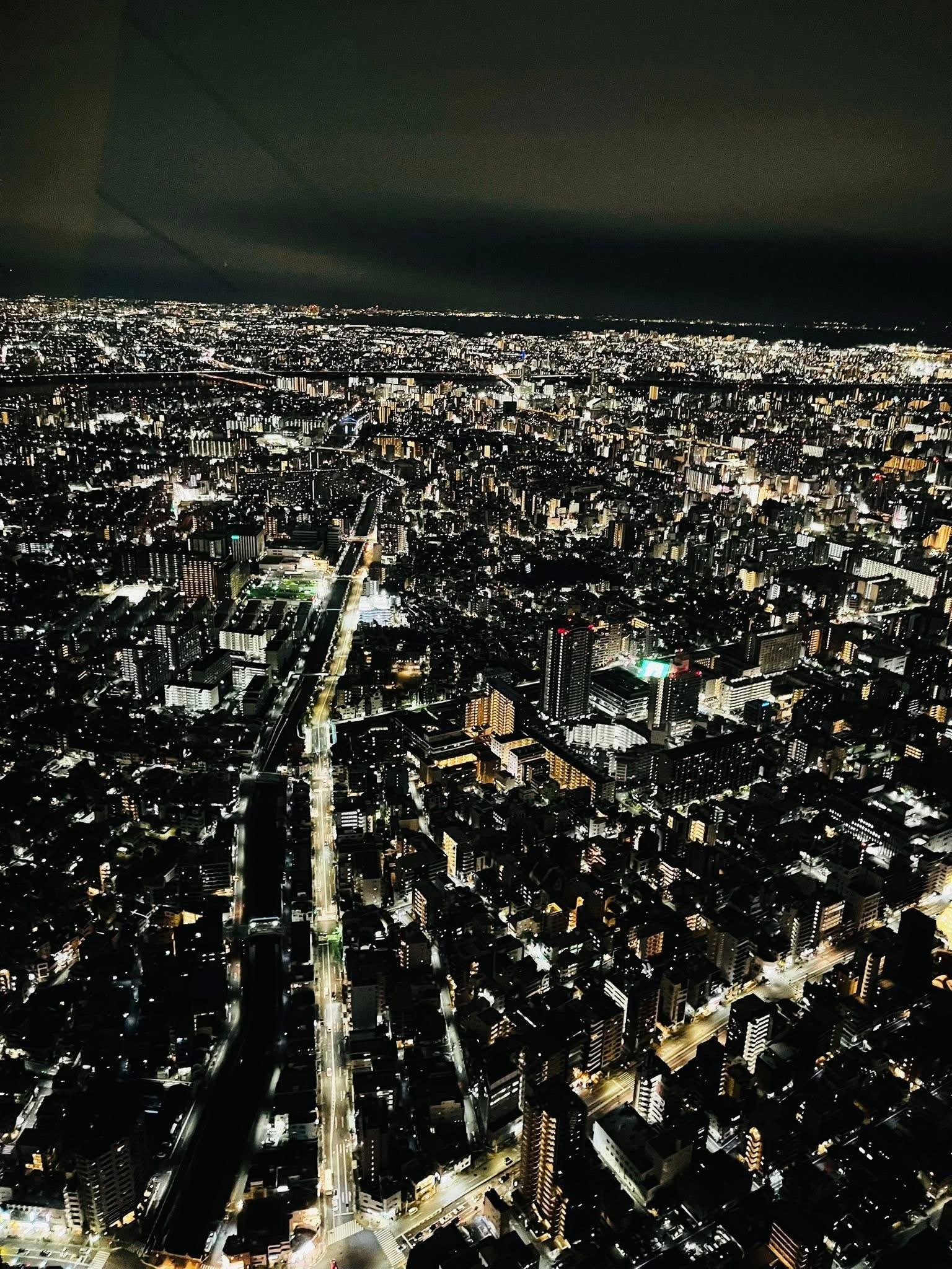 Tokyo Private Full-Day City Tour — Custom Itinerary with English Guide