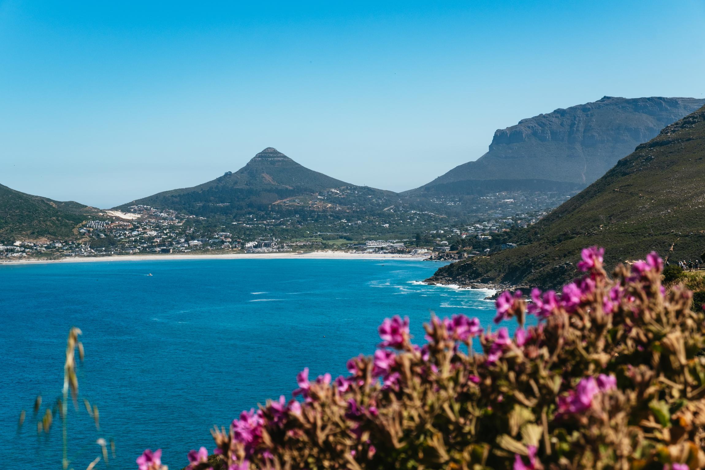 Cape Peninsula & Boulders Penguin Colony Full-Day Tour