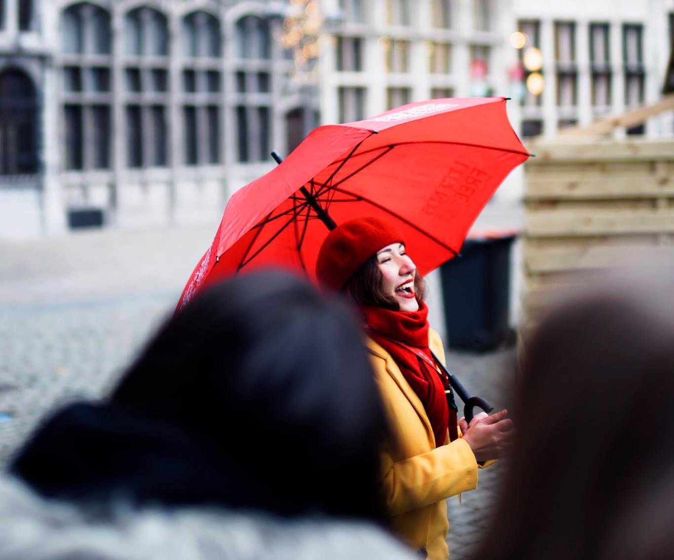 Private Historical Highlights Tour: Legends of Antwerp