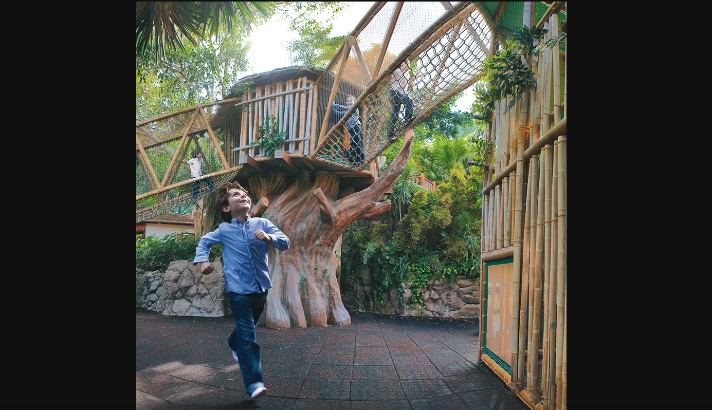 Loro Parque Expedition from South Tenerife with Transfers