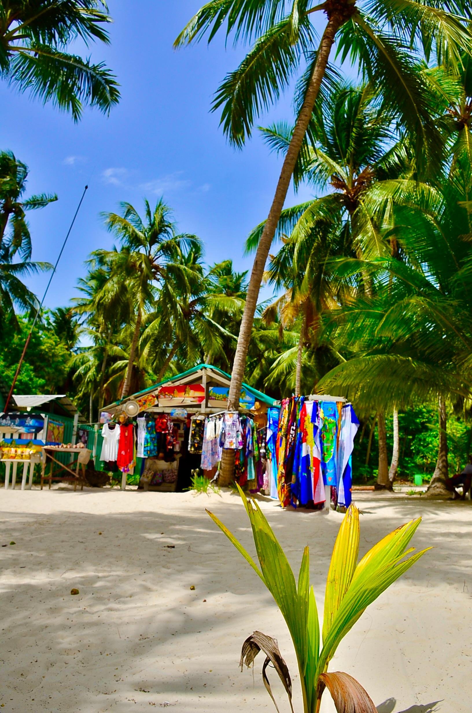 Saona Island boat tour — image 15